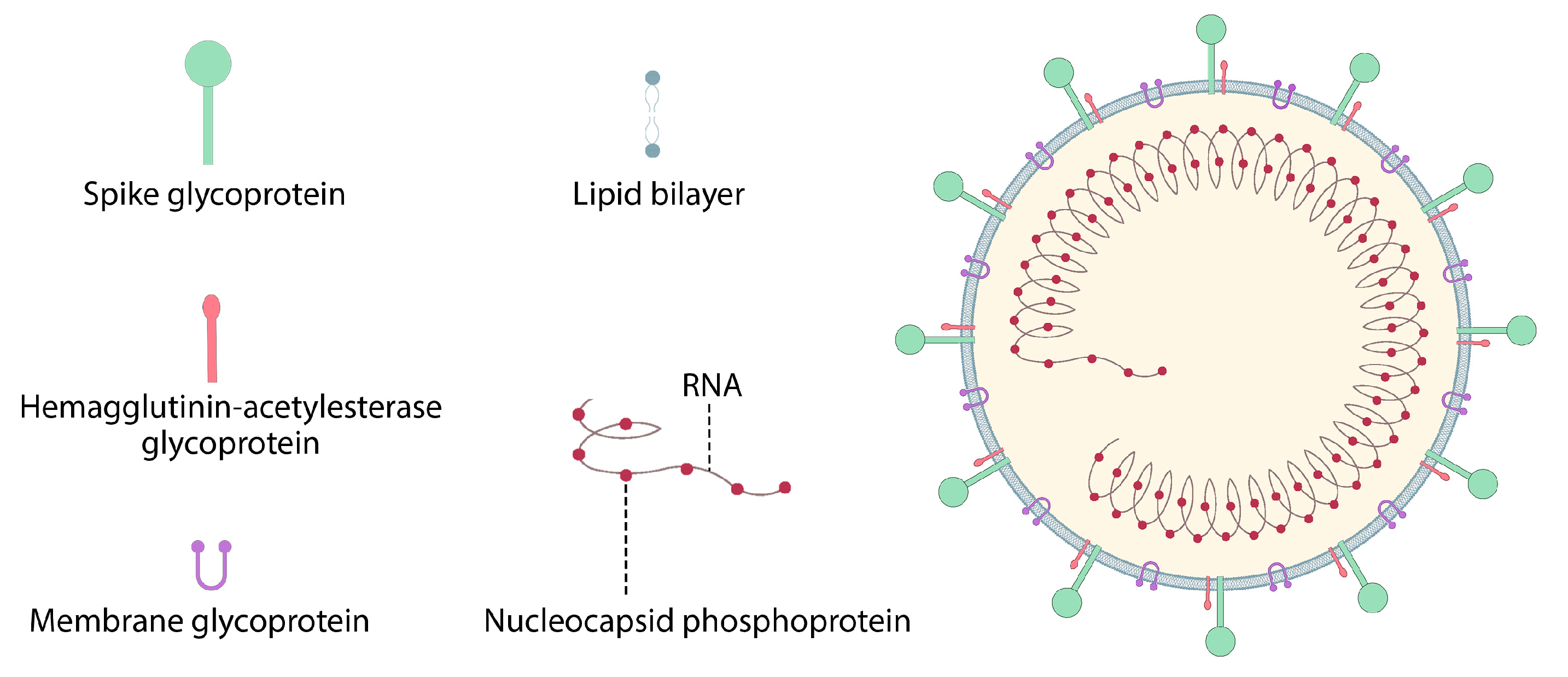 Pharmaceutics 15 01127 g009