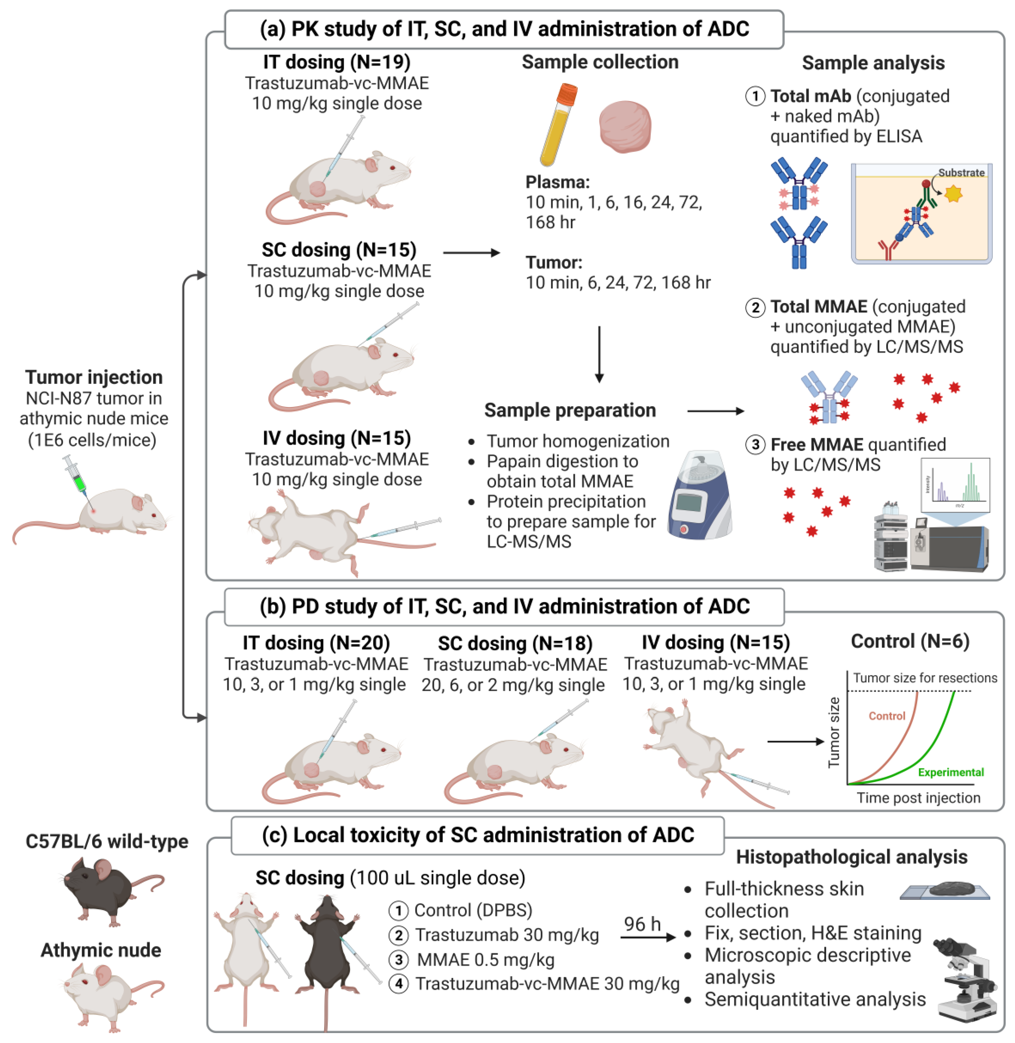 Pharmaceutics 15 01132 g001 Pharmaceutics 15 01132 g001