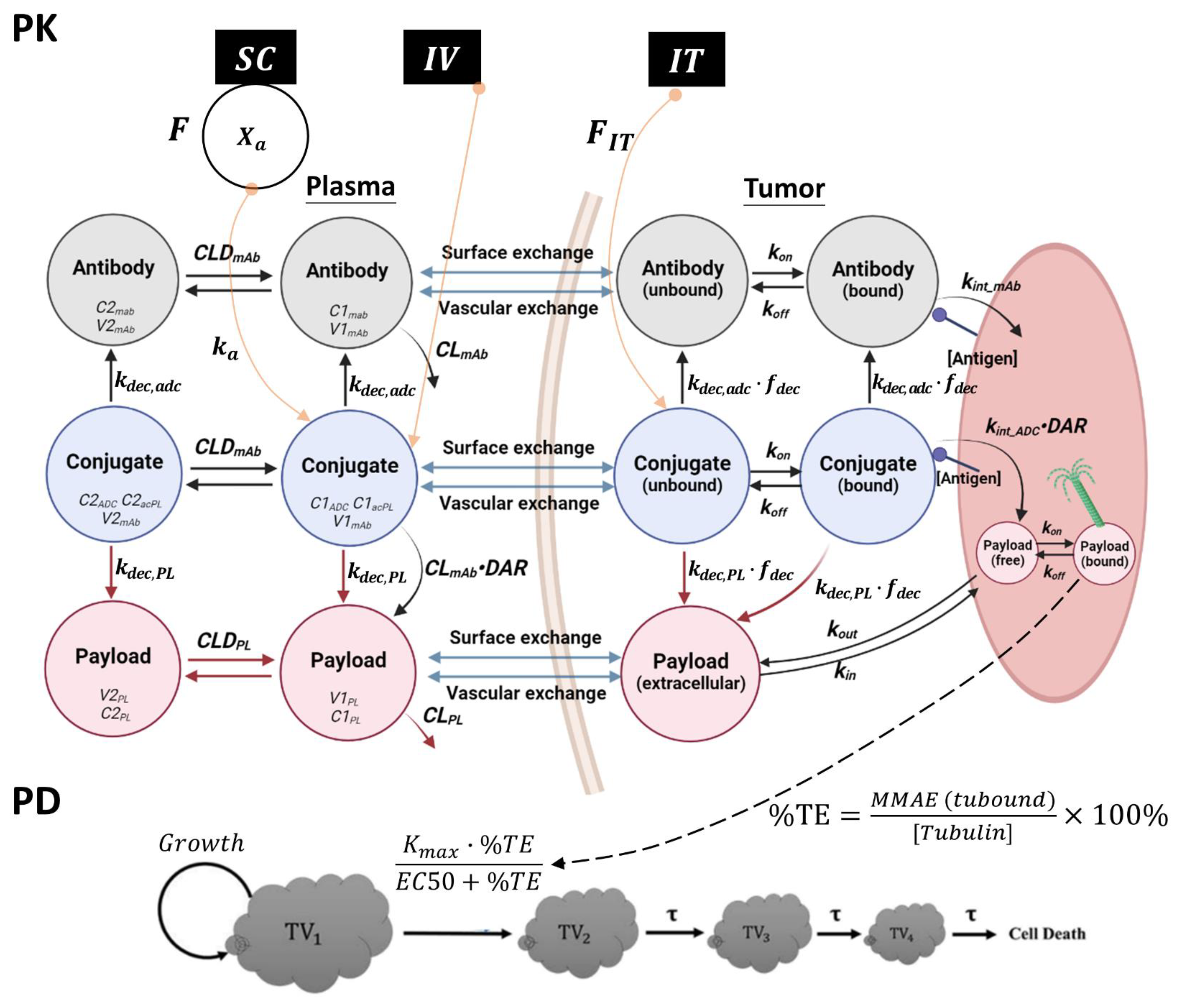 Pharmaceutics 15 01132 g002 Pharmaceutics 15 01132 g002
