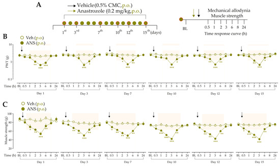 Pharmaceutics 15 01136 g001