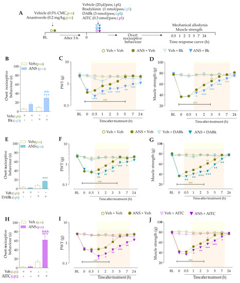Pharmaceutics 15 01136 g002