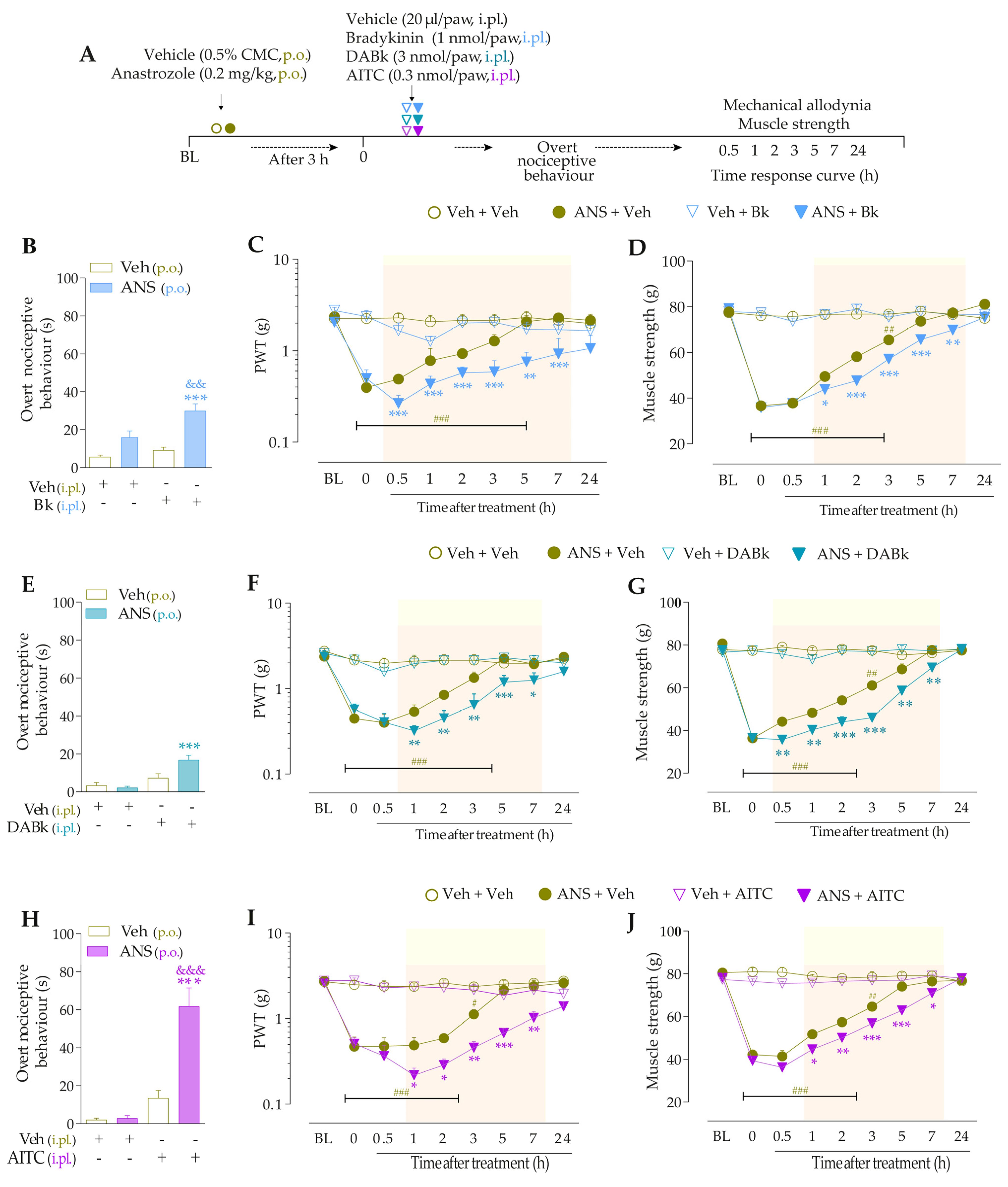 Pharmaceutics 15 01136 g002