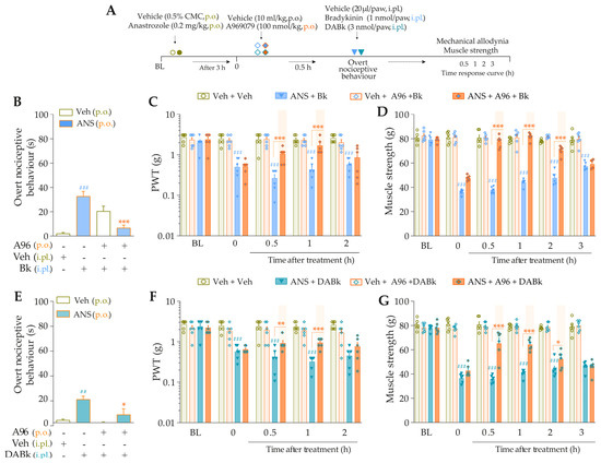 Pharmaceutics 15 01136 g004