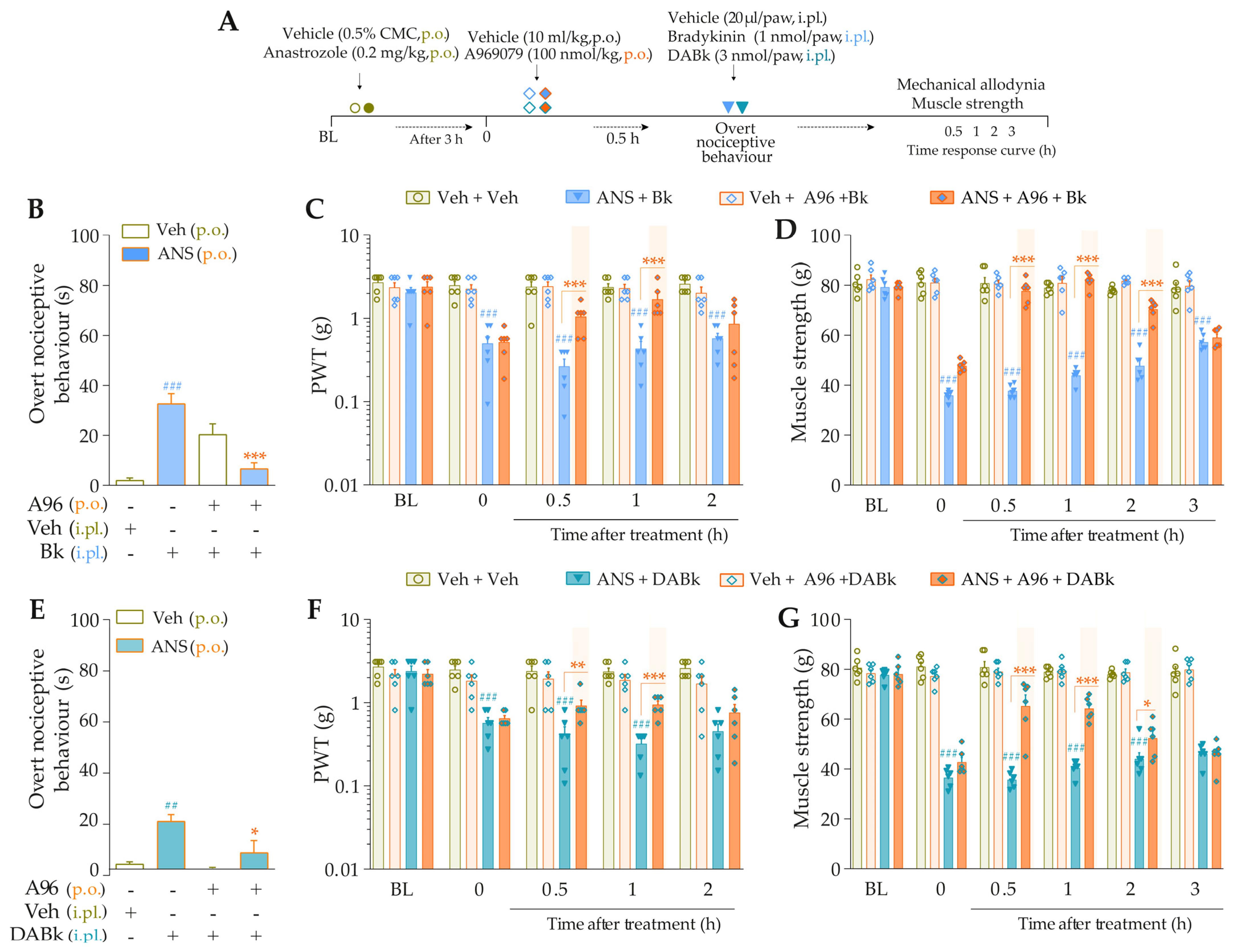 Pharmaceutics 15 01136 g004
