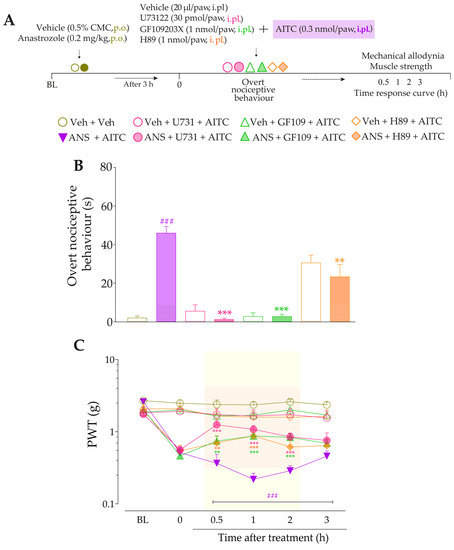 Pharmaceutics 15 01136 g008a