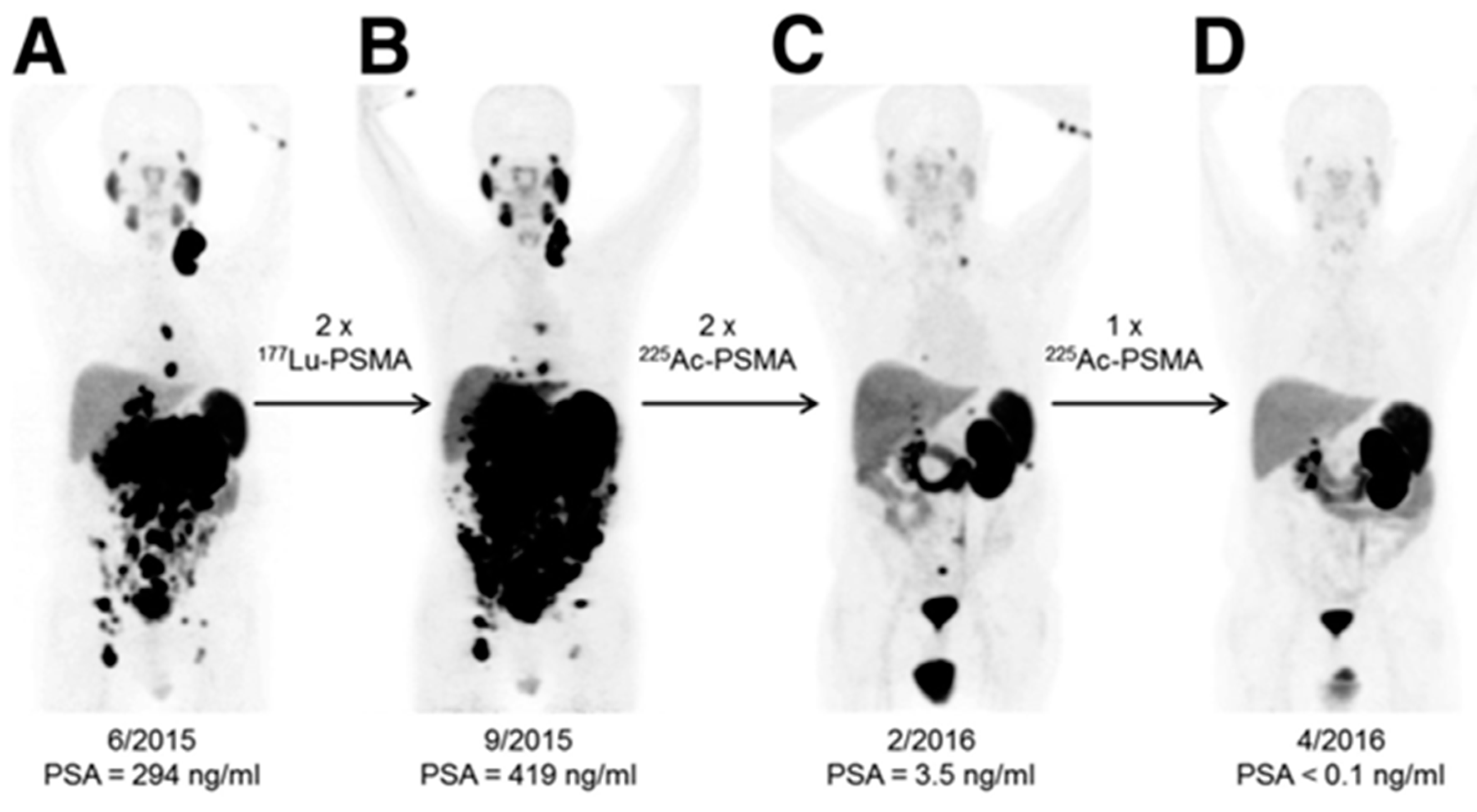 Pharmaceutics 15 01138 g005