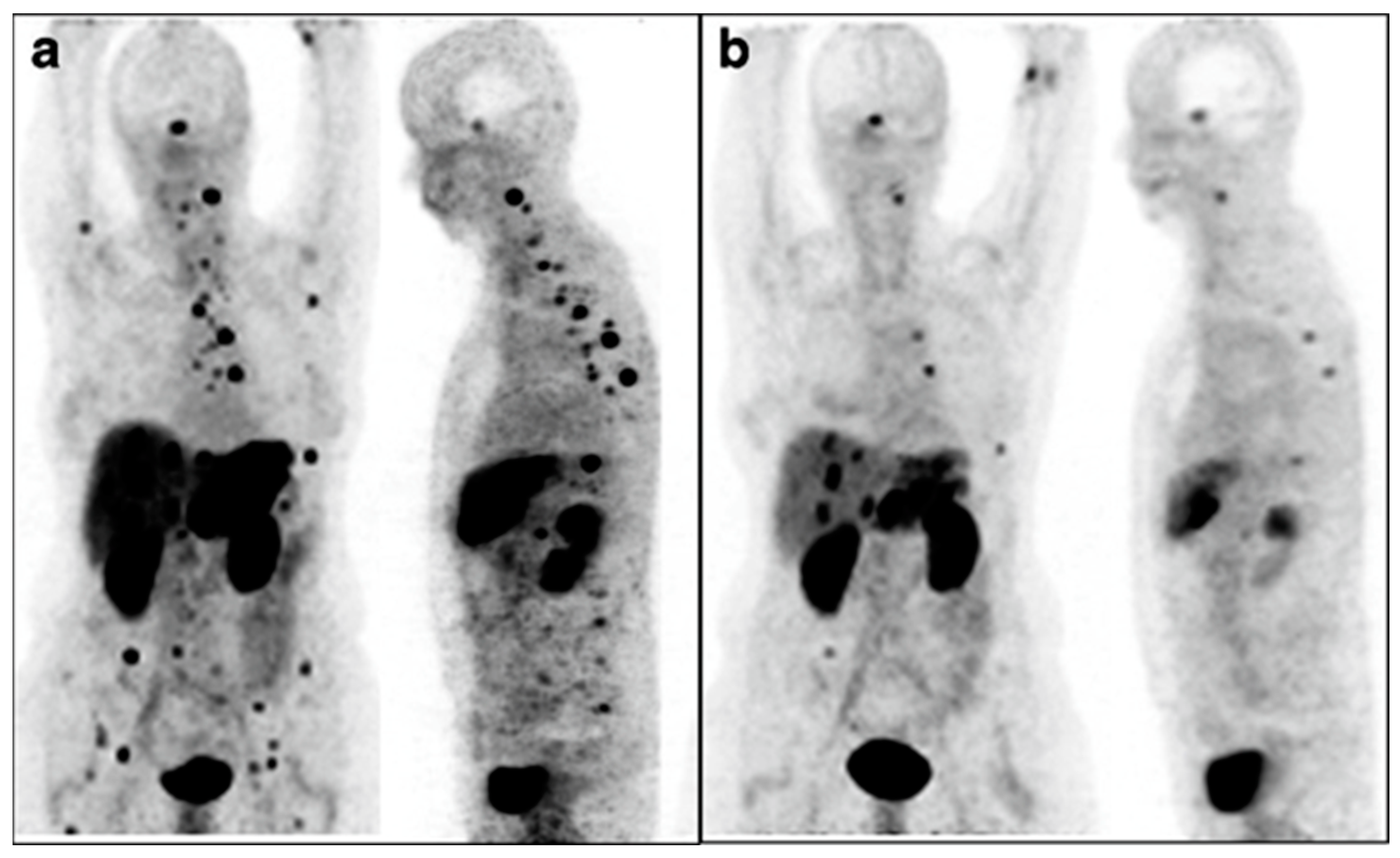 Pharmaceutics 15 01138 g006