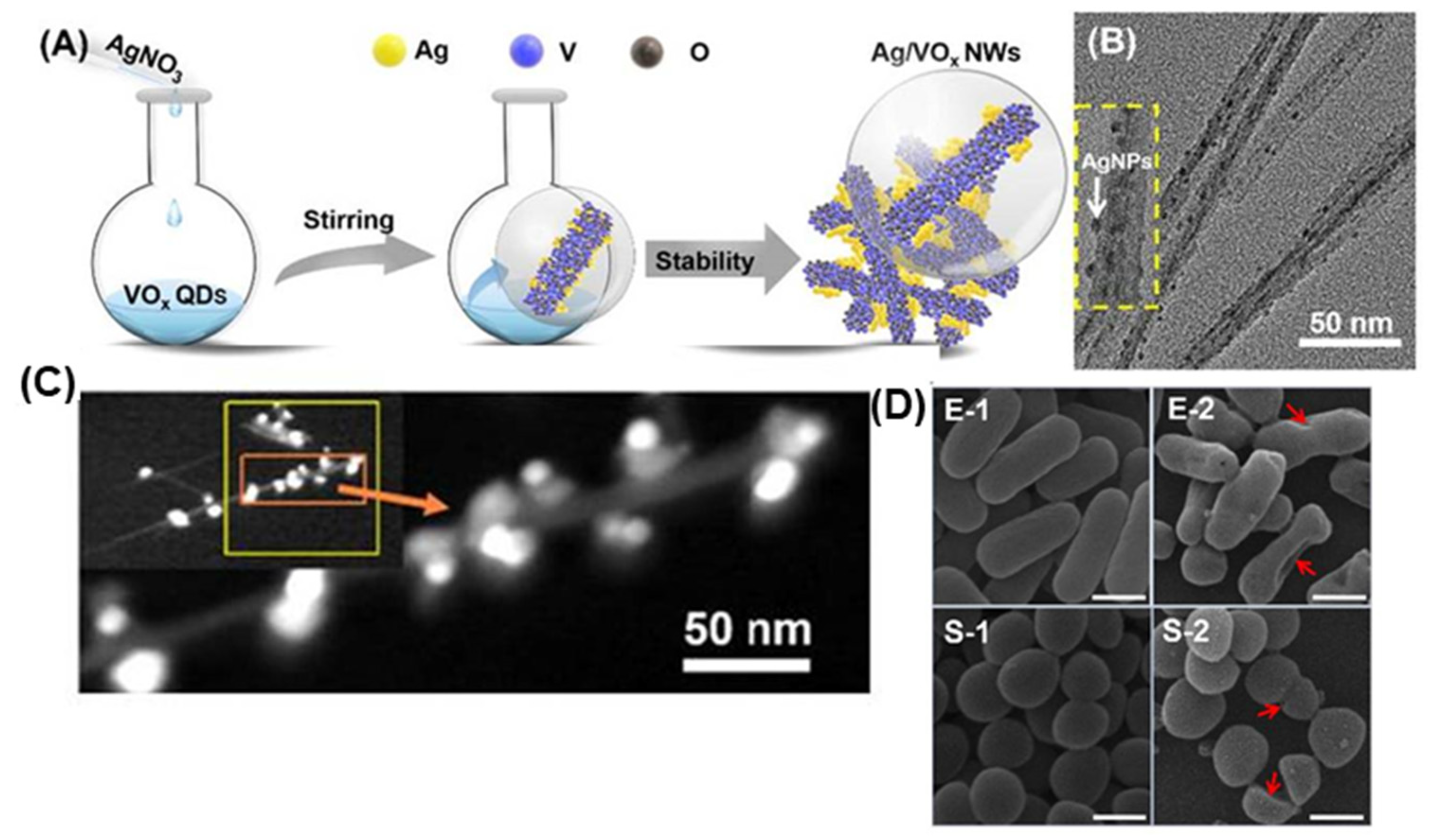 Pharmaceutics 15 01142 g006