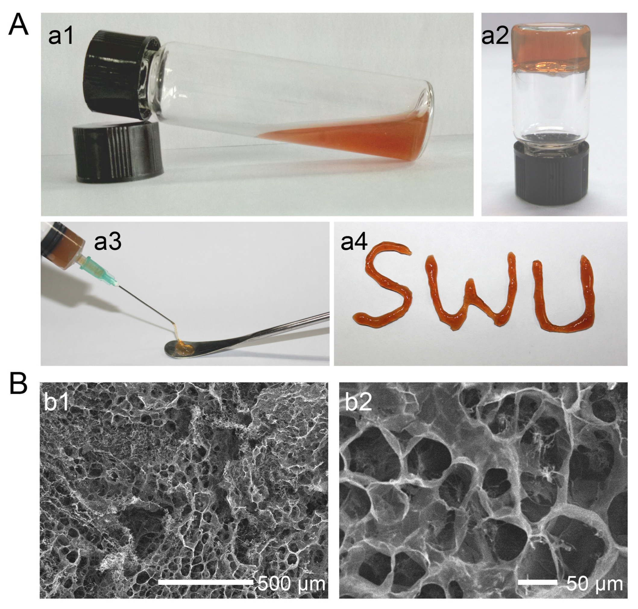 Pharmaceutics 15 01142 g009
