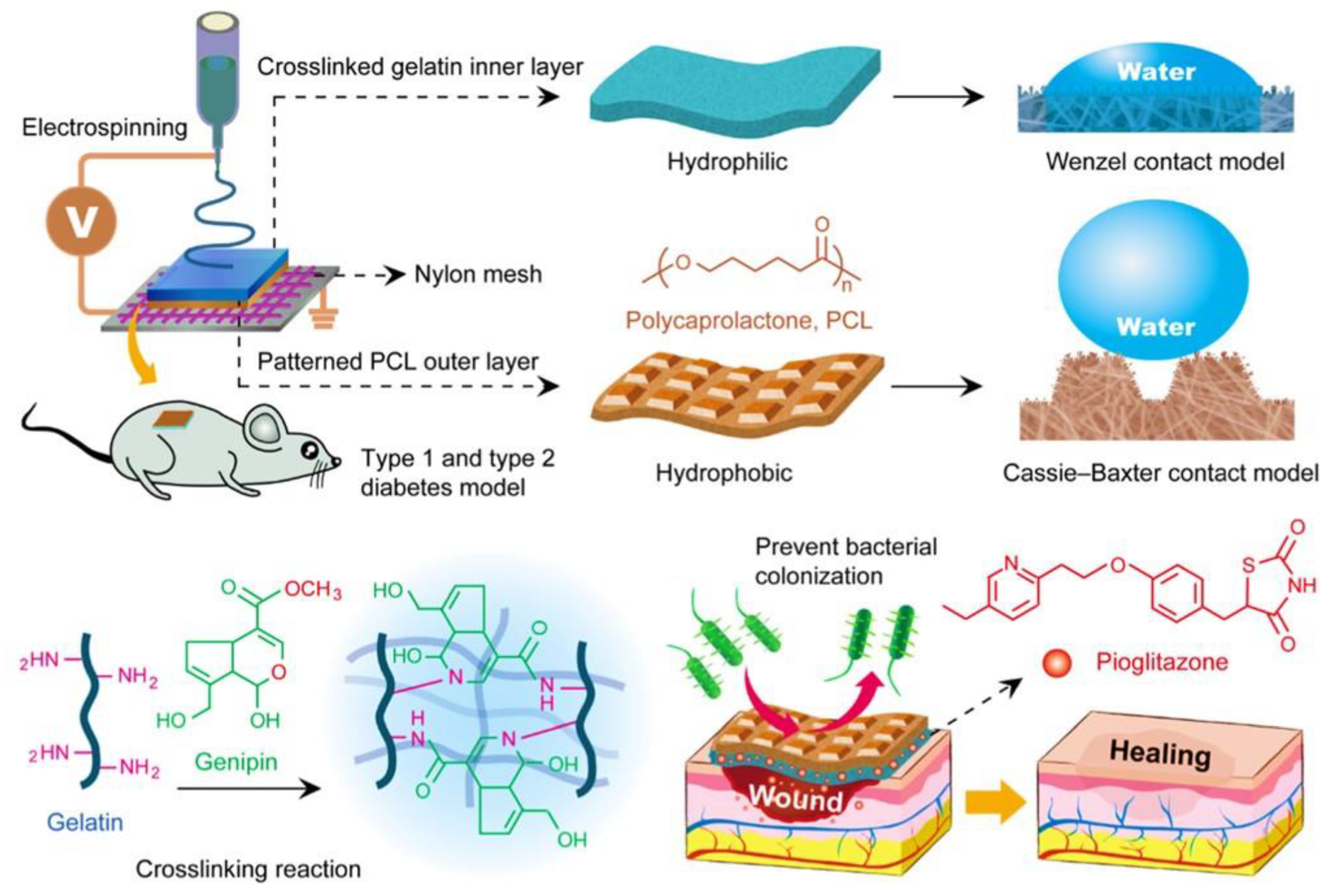 Pharmaceutics 15 01144 g003