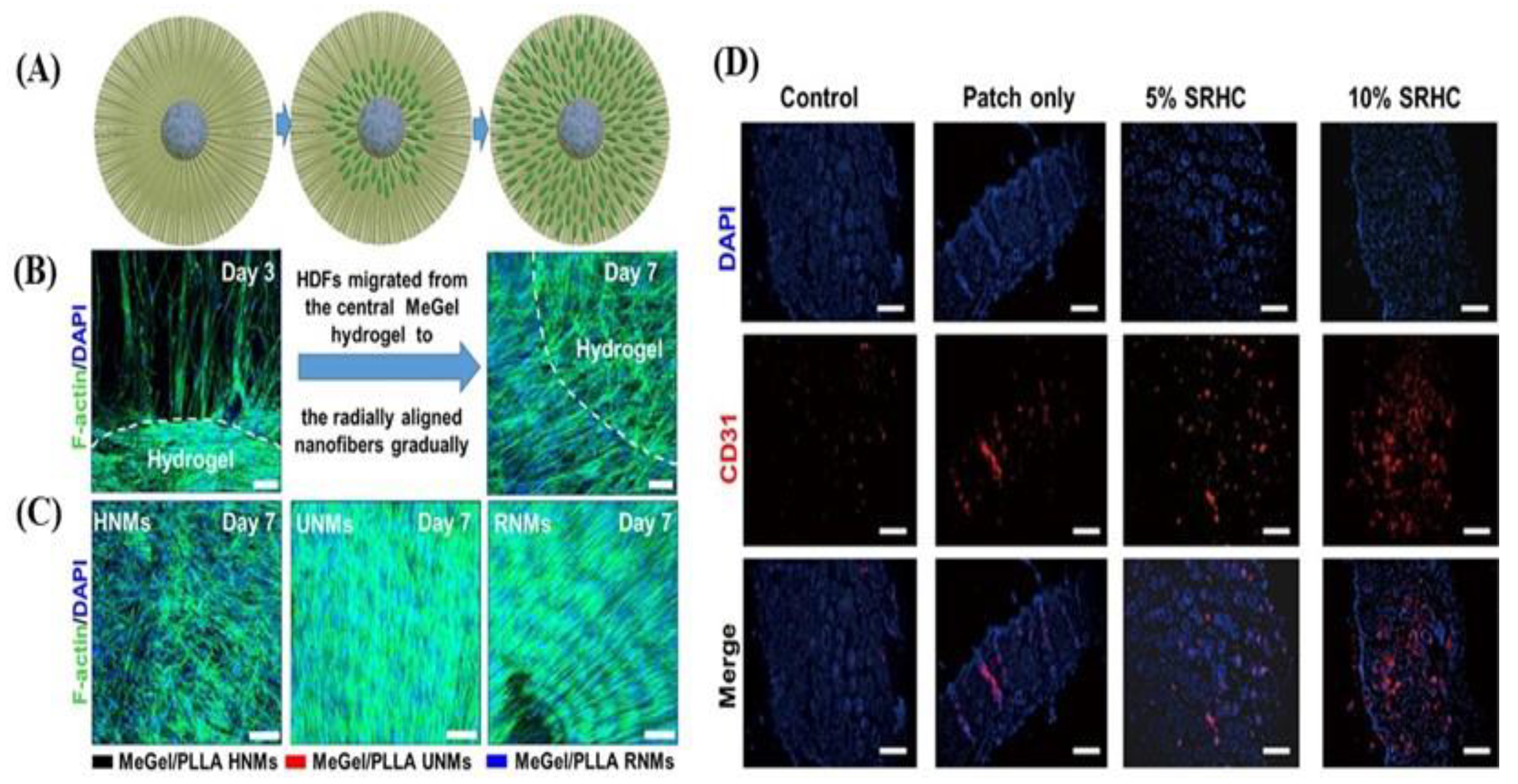 Pharmaceutics 15 01144 g006