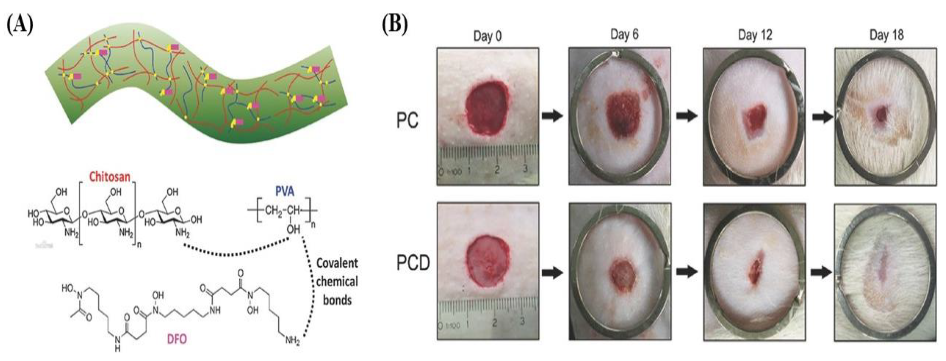 Pharmaceutics 15 01144 g007