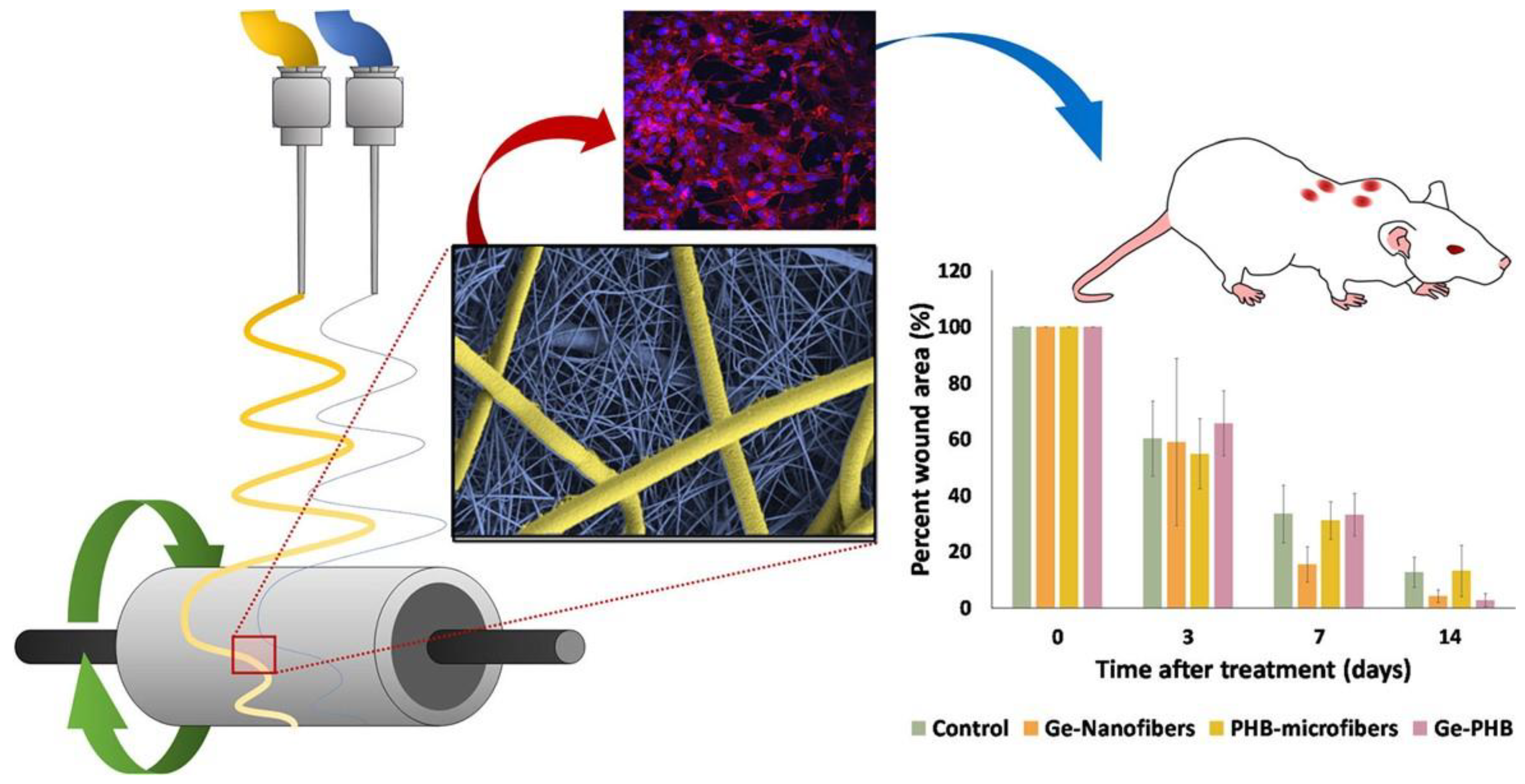 Pharmaceutics 15 01144 g008