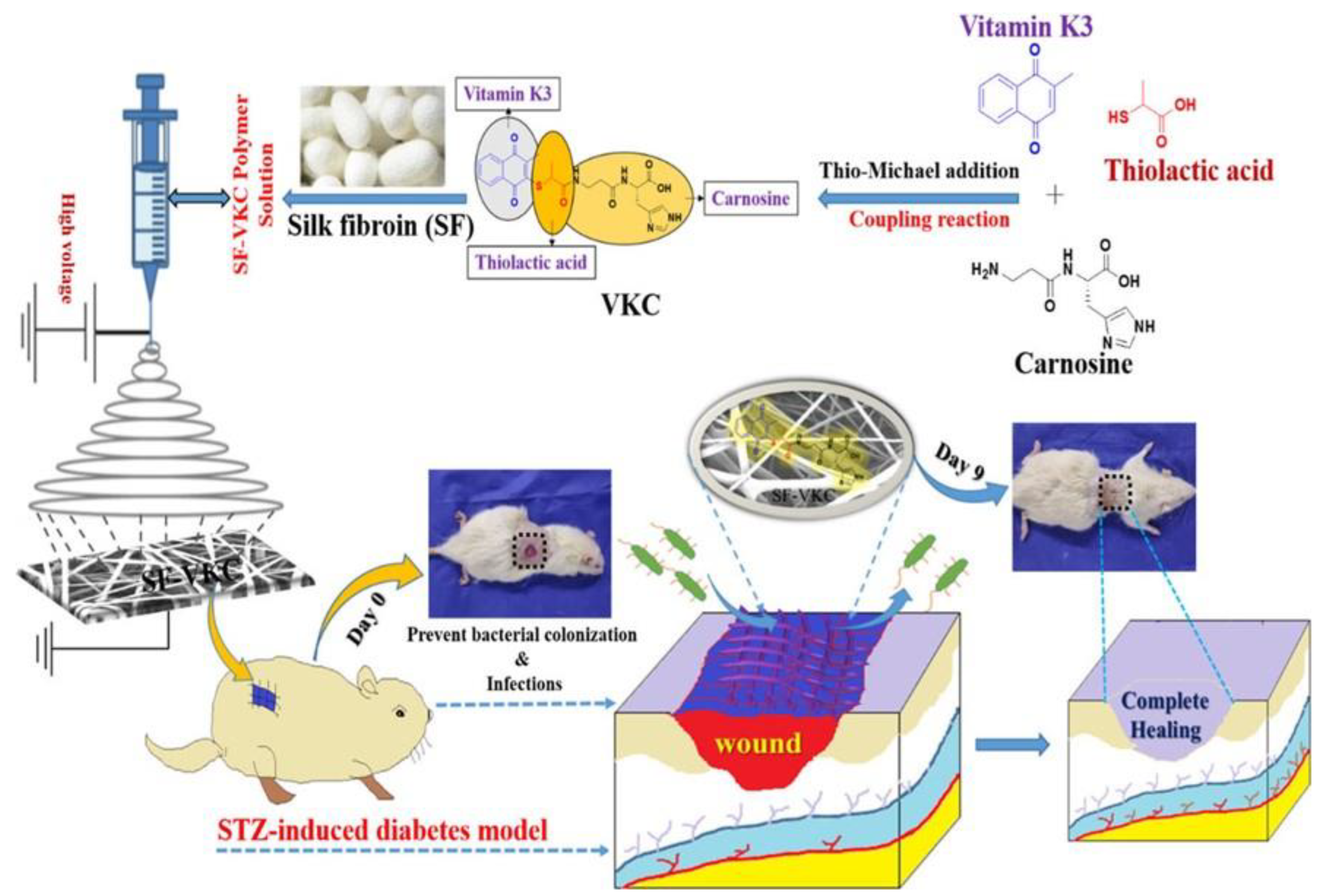 Pharmaceutics 15 01144 g009