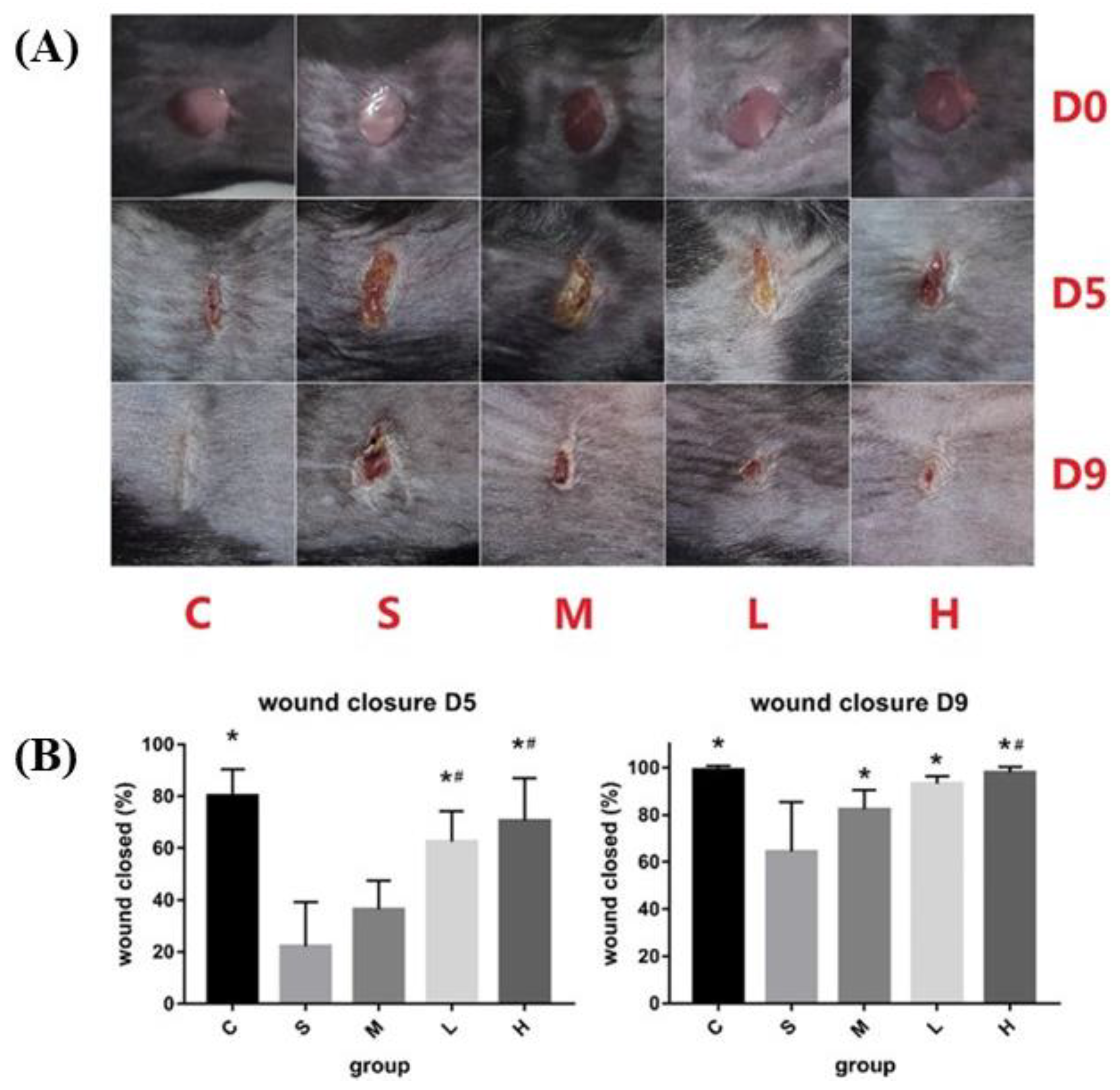 Pharmaceutics 15 01144 g010
