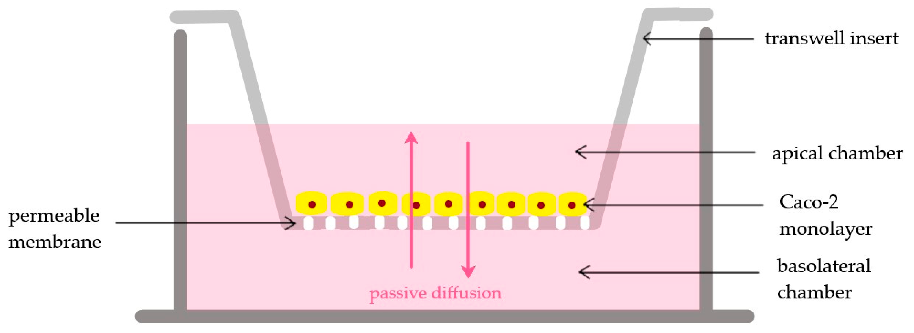 Pharmaceutics 15 01146 g001