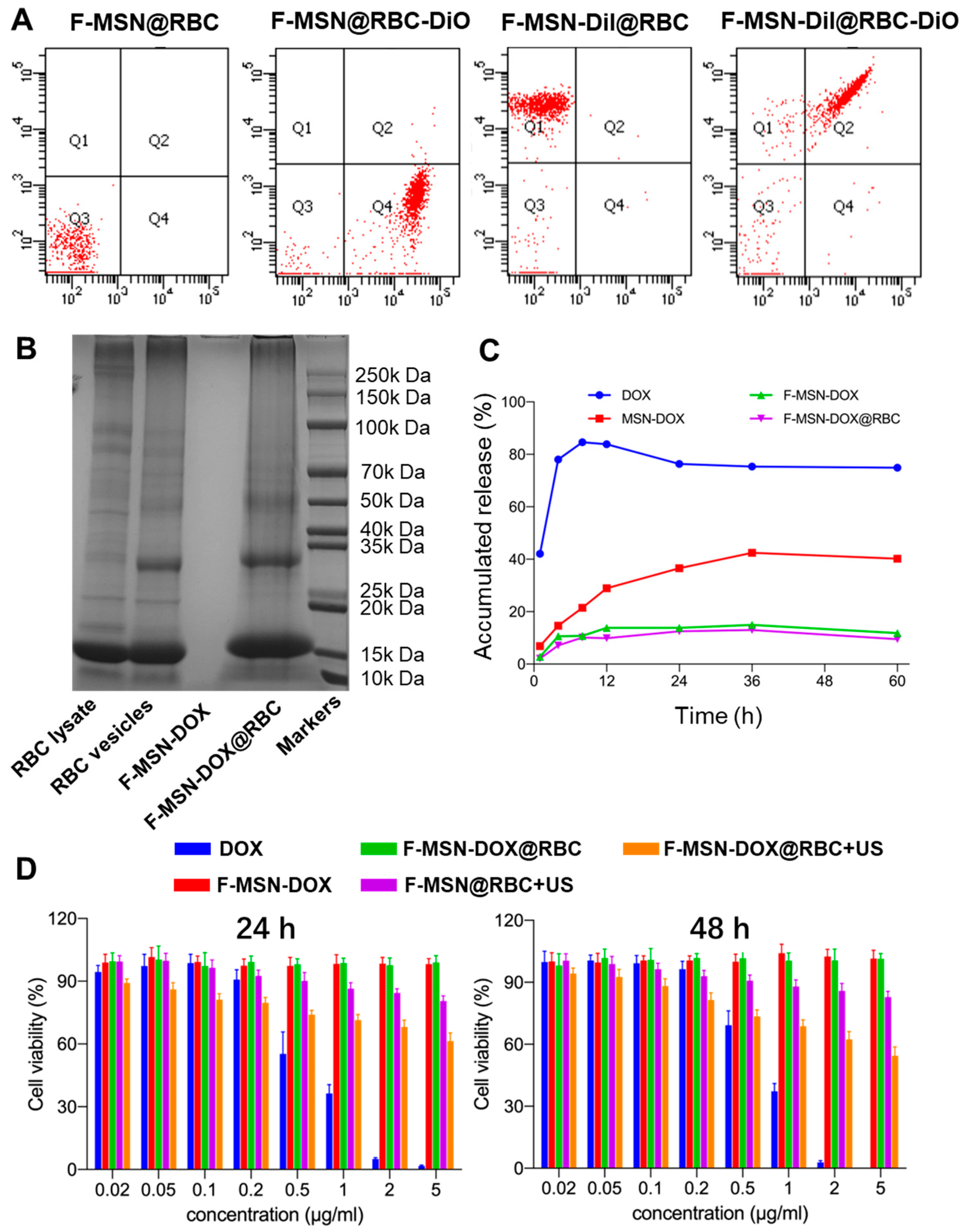 Pharmaceutics 15 01155 g003