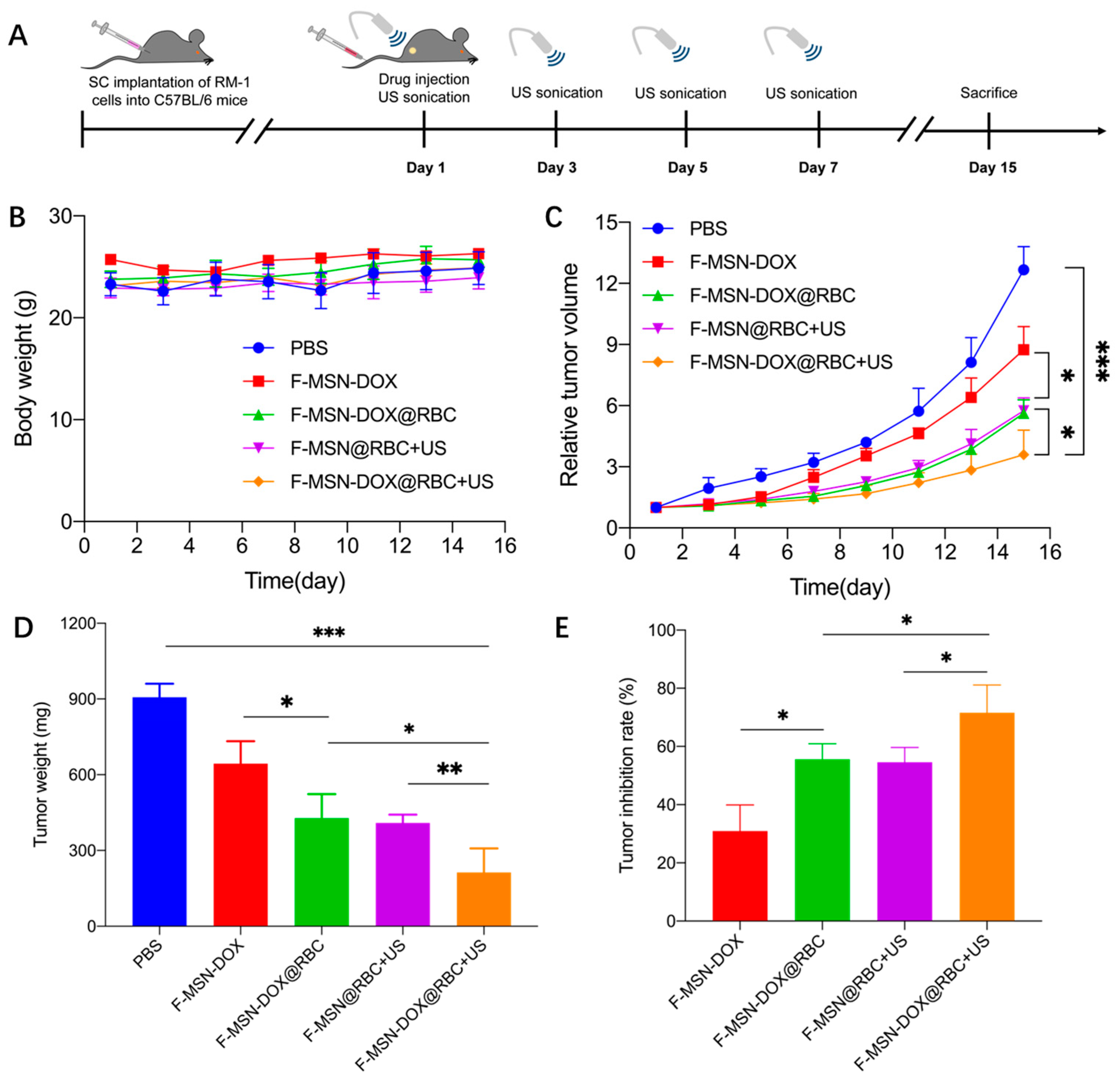 Pharmaceutics 15 01155 g006