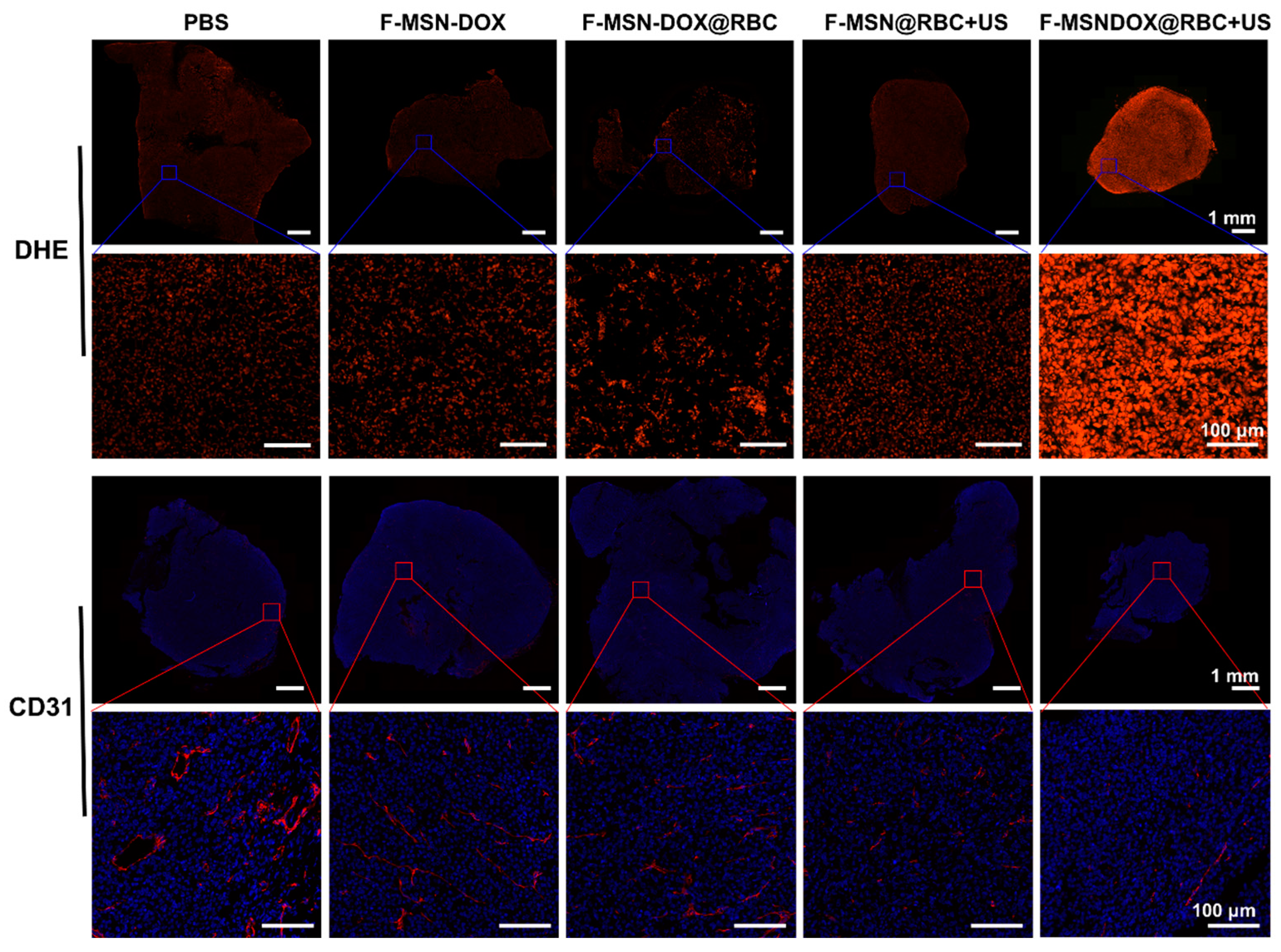 Pharmaceutics 15 01155 g007