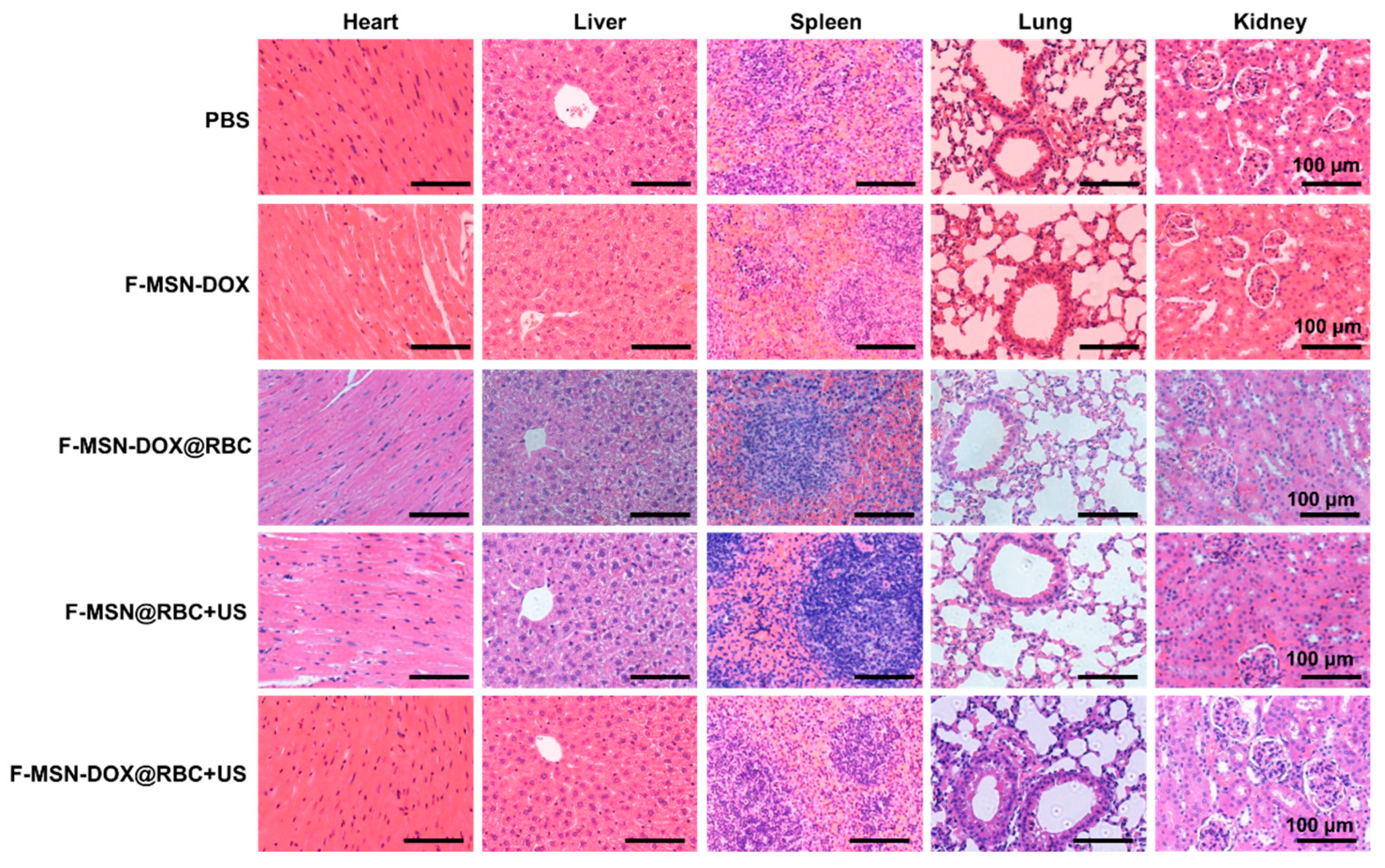 Pharmaceutics 15 01155 g009