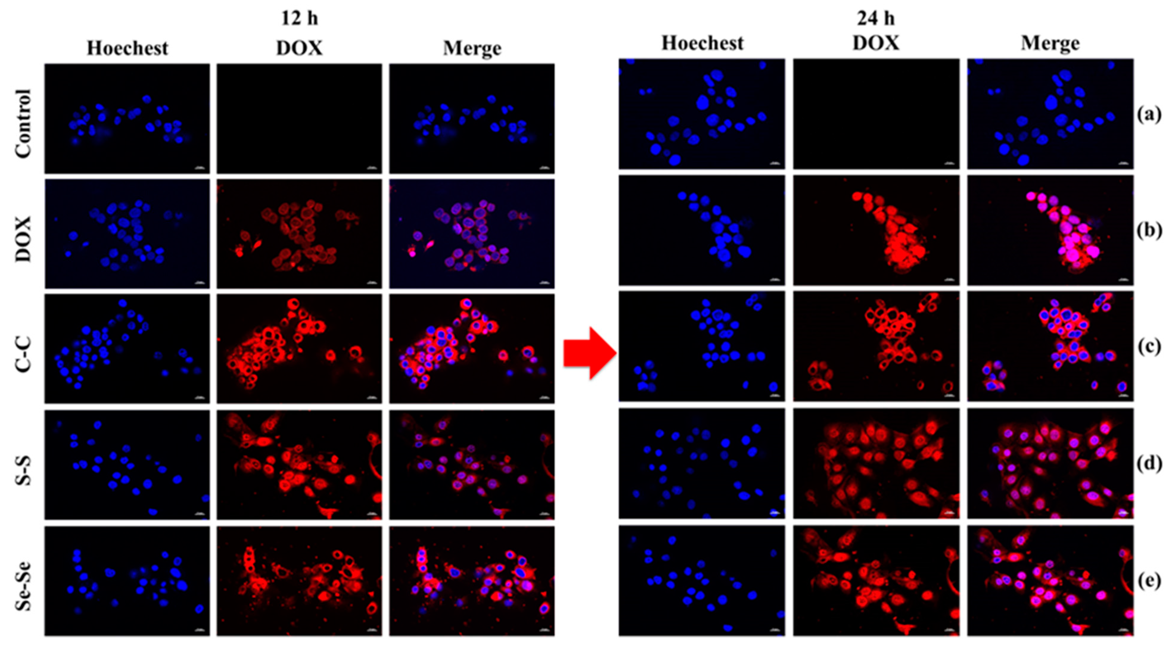 Pharmaceutics 15 01159 g010