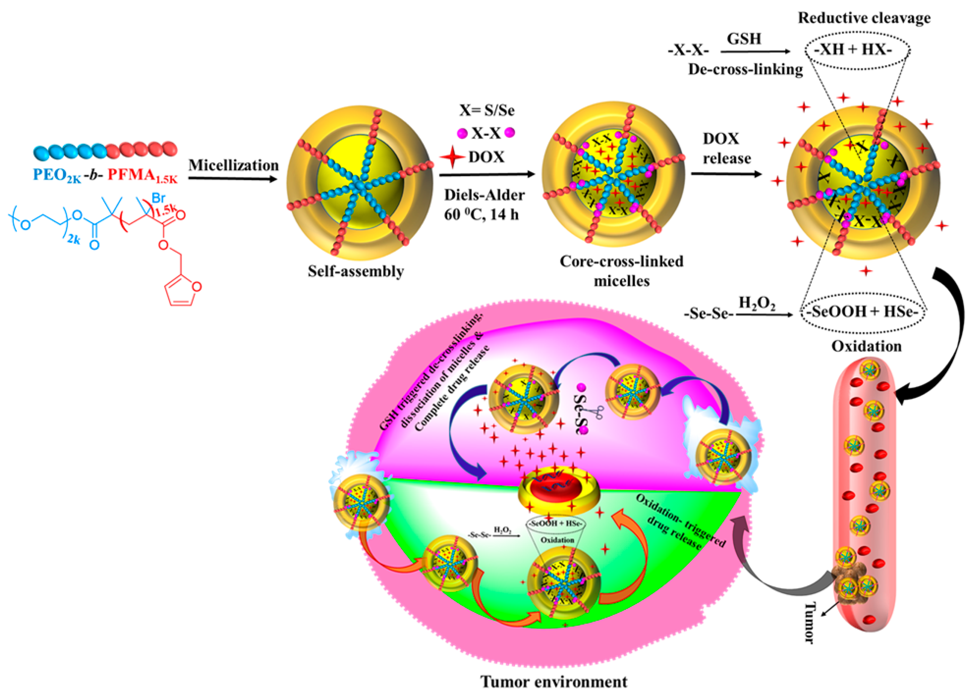 Pharmaceutics 15 01159 sch001