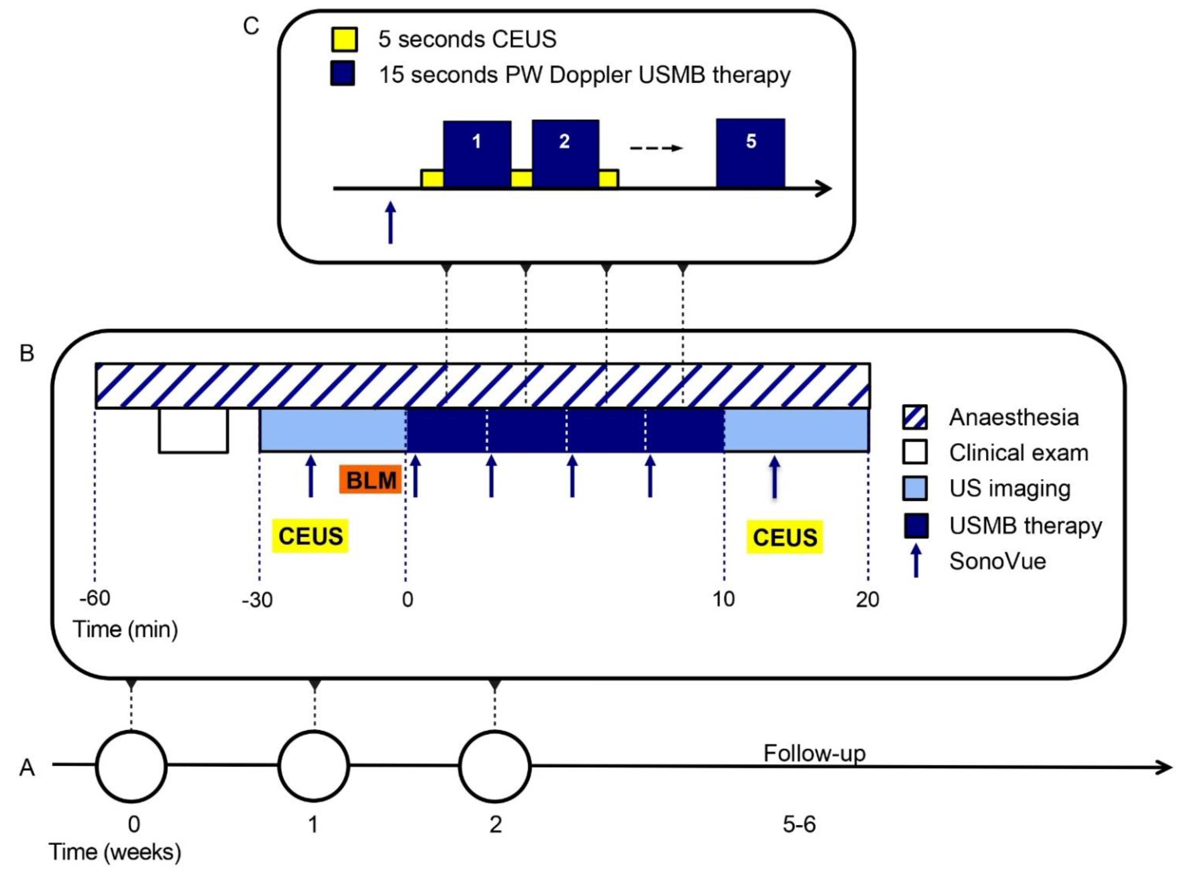 Pharmaceutics 15 01166 g001