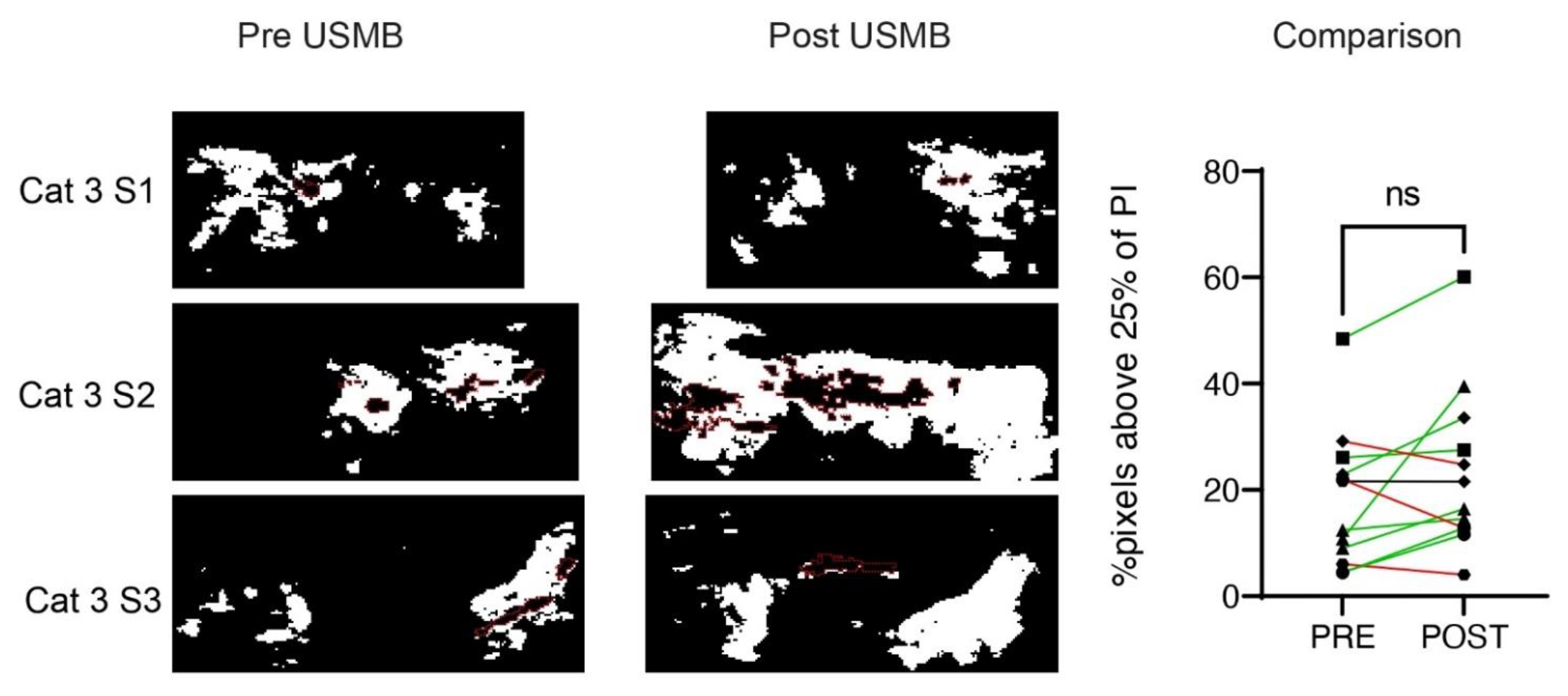 Pharmaceutics 15 01166 g006
