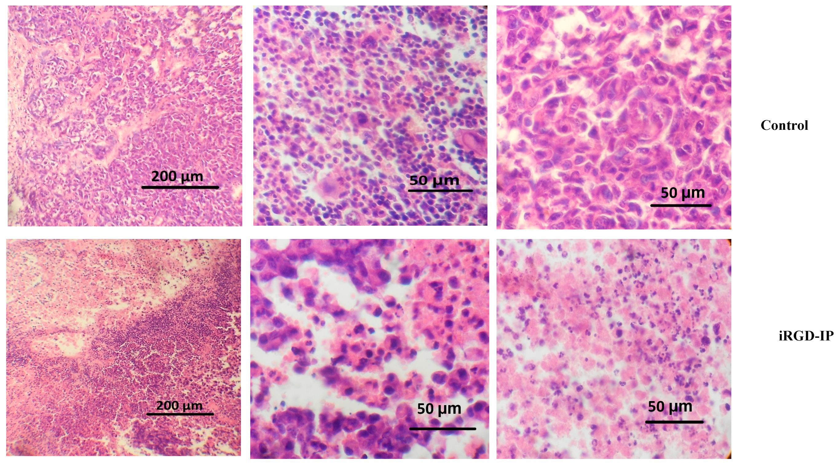 Pharmaceutics 15 01180 g007 Pharmaceutics 15 01180 g007