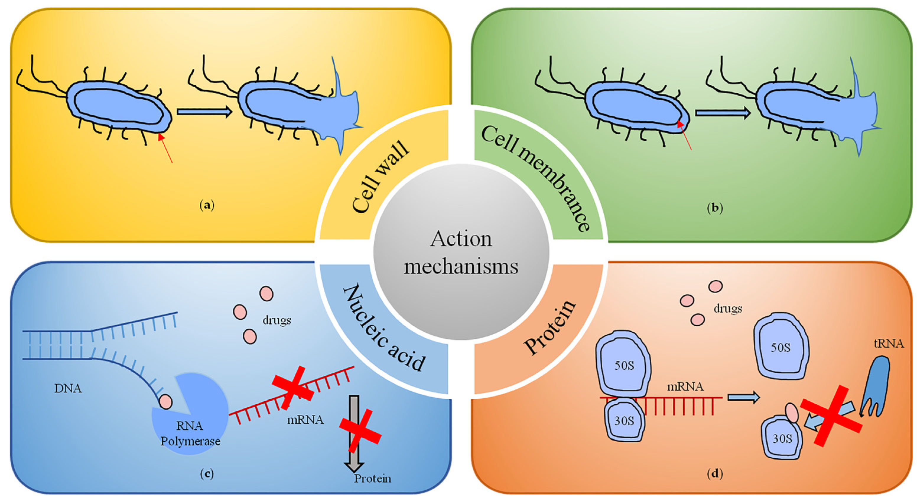 Pharmaceutics 15 01188 g002