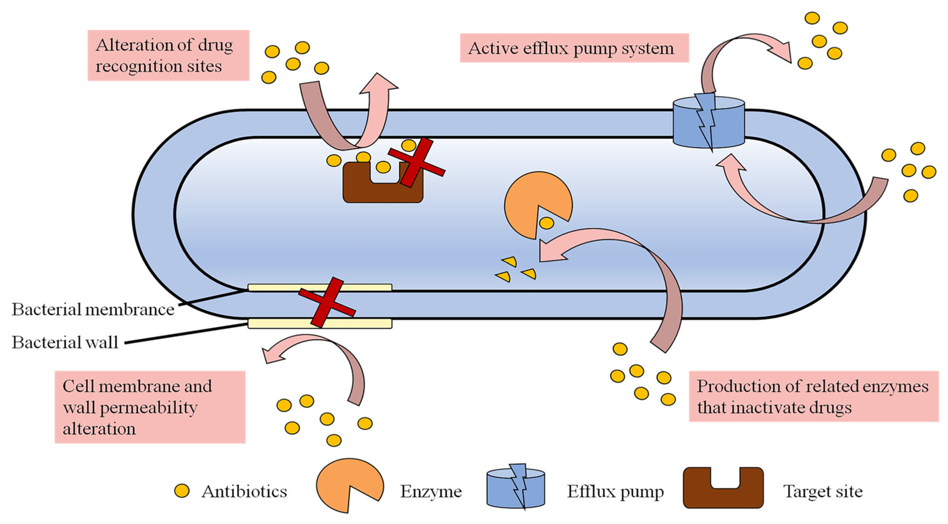 Pharmaceutics 15 01188 g003