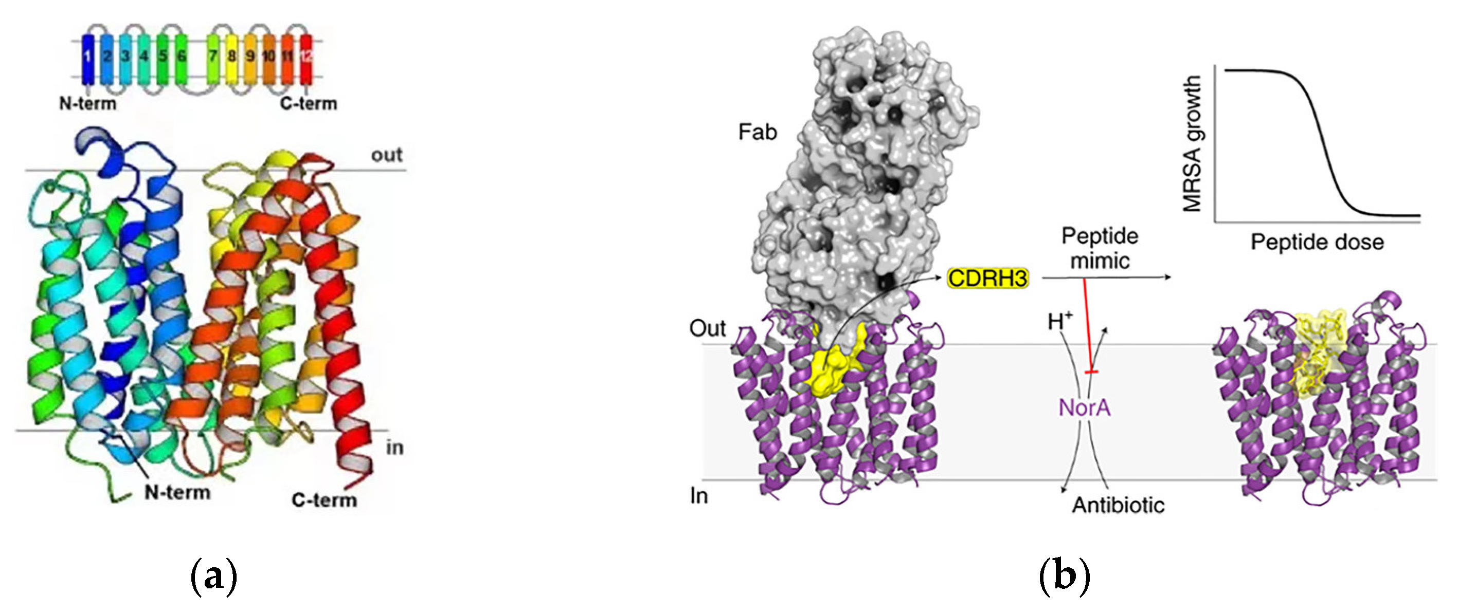 Pharmaceutics 15 01188 g006a