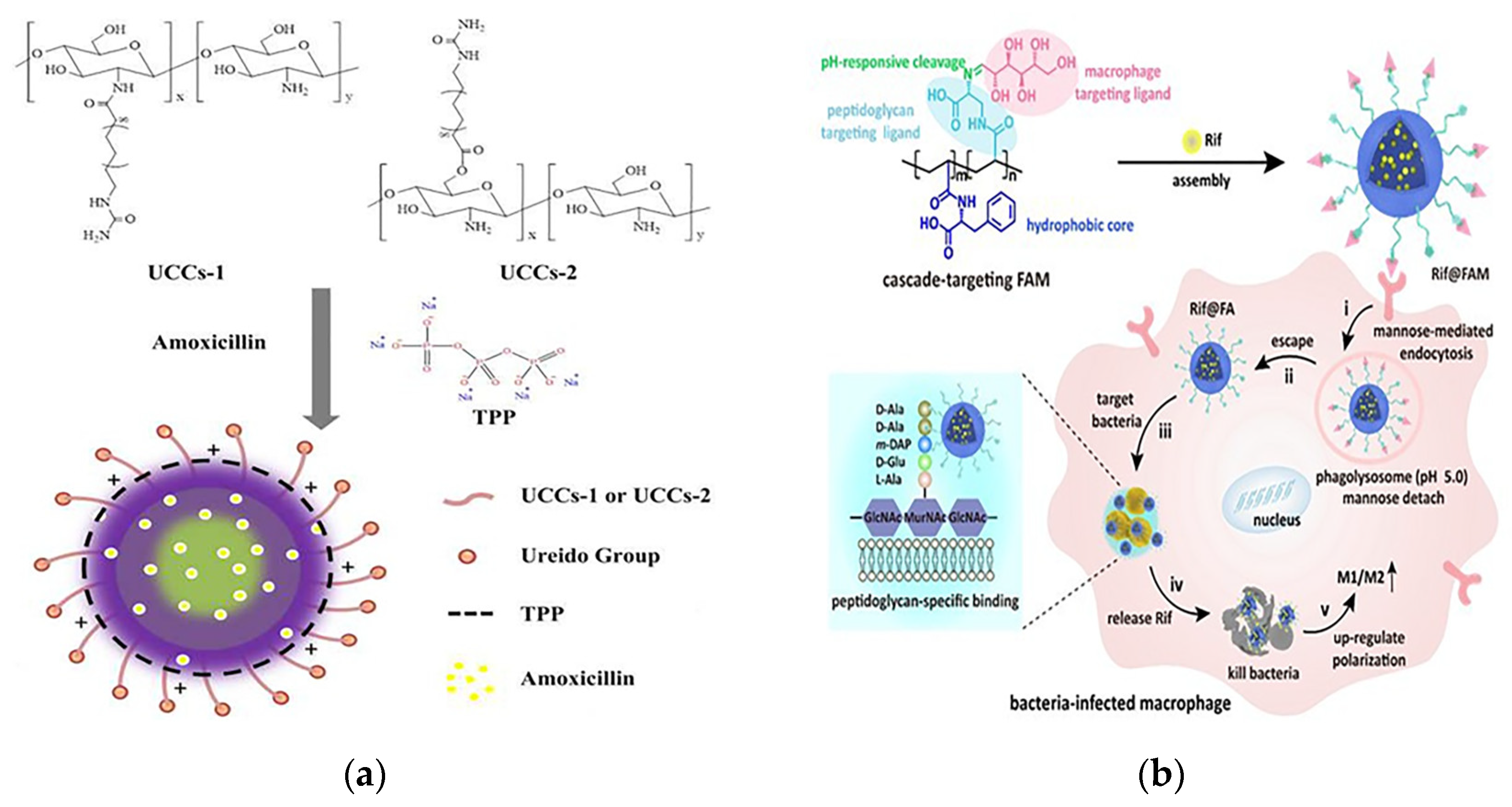 Pharmaceutics 15 01188 g008