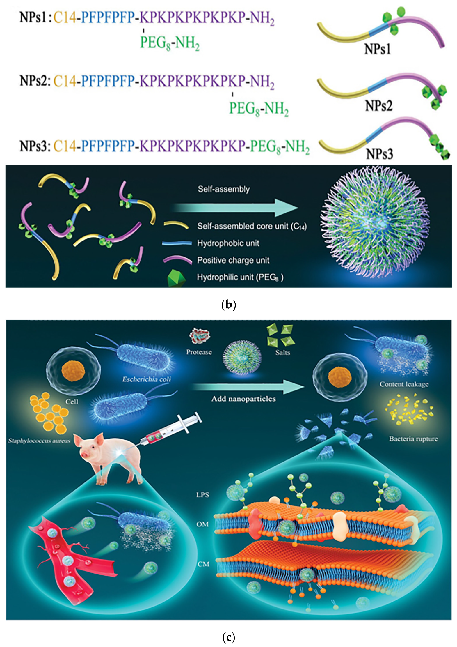 Pharmaceutics 15 01188 g009b