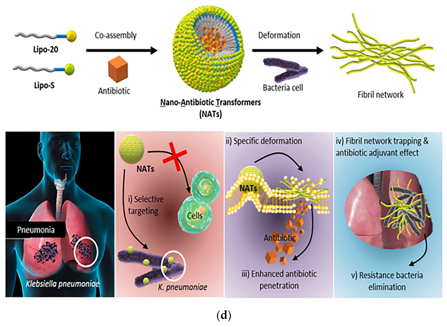 Pharmaceutics 15 01188 g009c