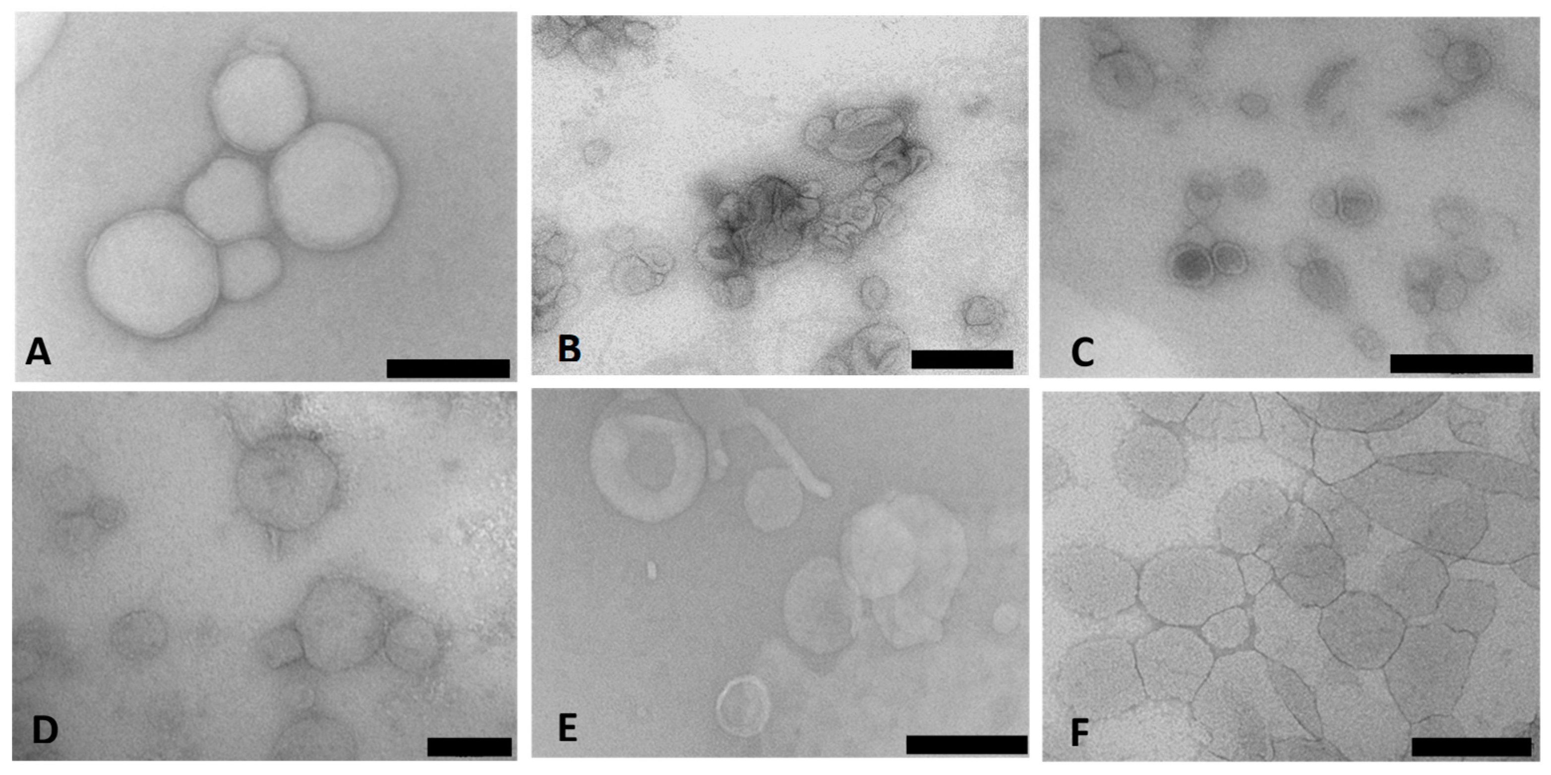 Pharmaceutics 15 01190 g001