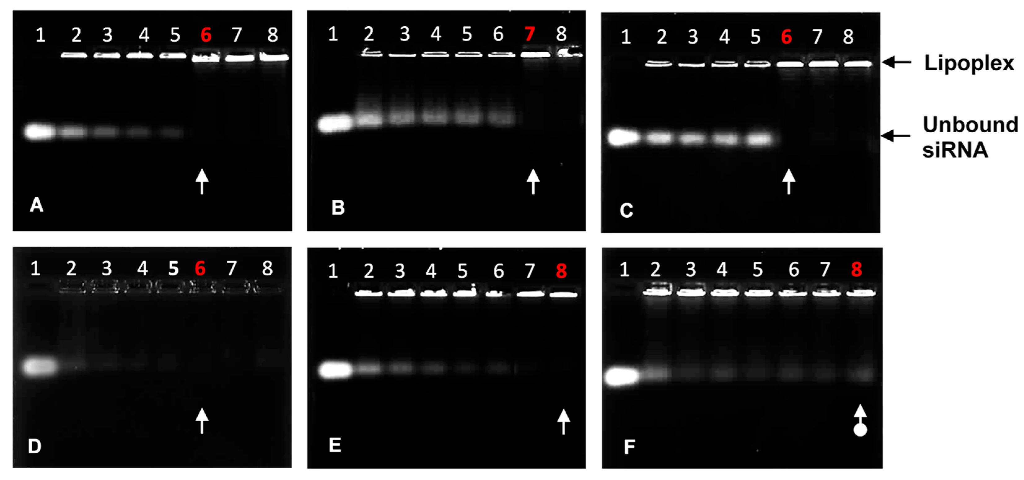 Pharmaceutics 15 01190 g002