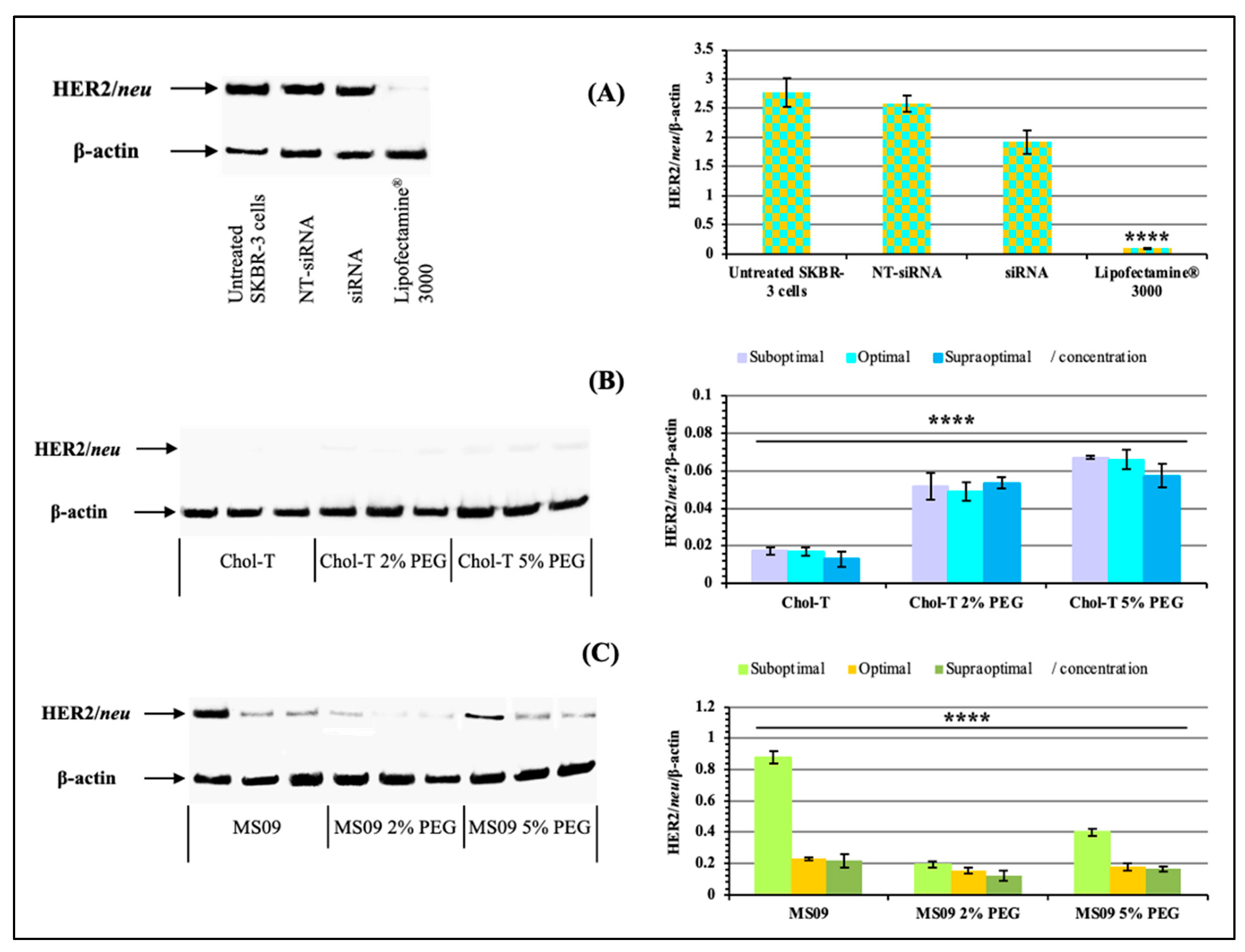 Pharmaceutics 15 01190 g006