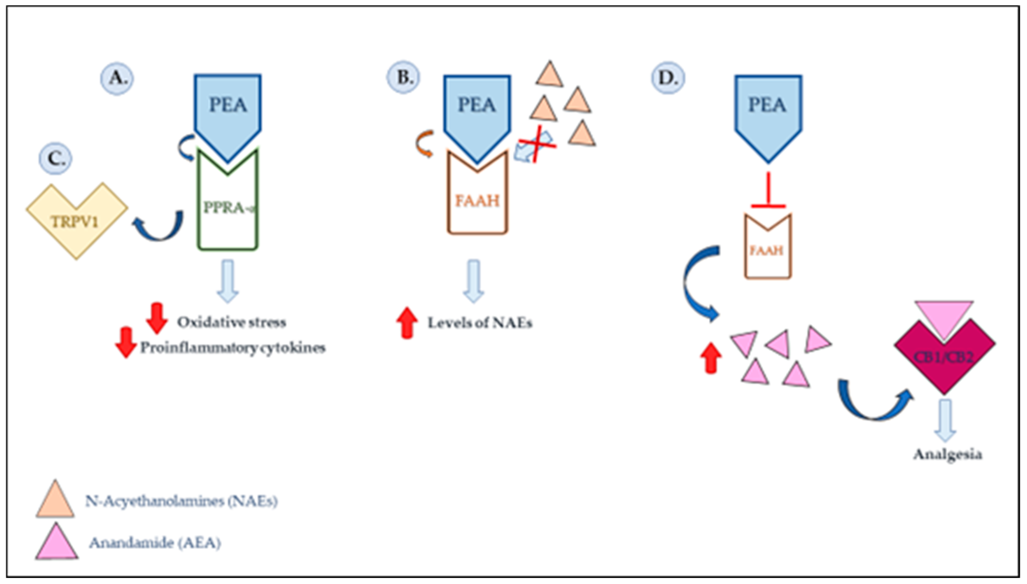 Pharmaceutics 15 01193 g001