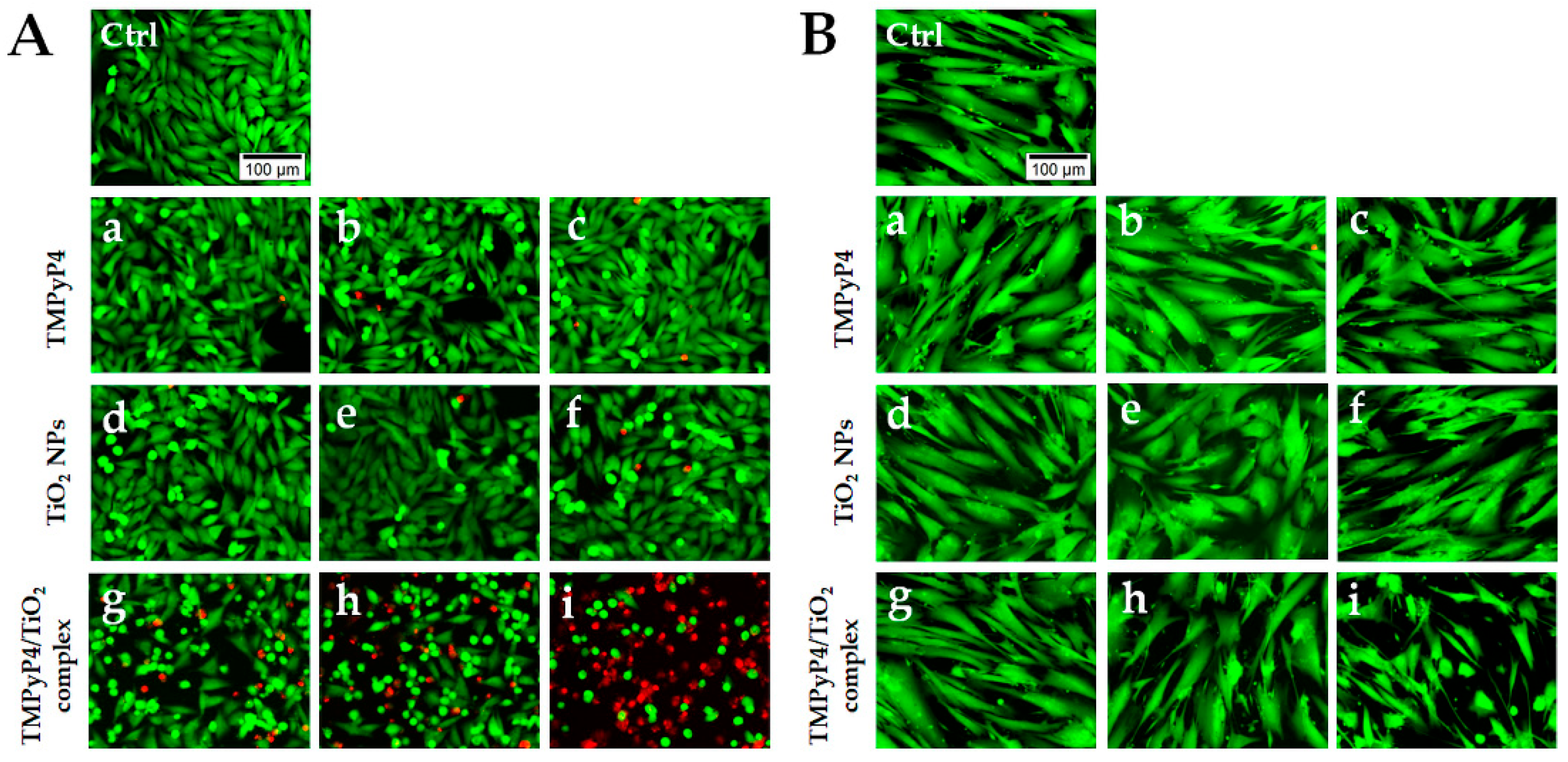 Pharmaceutics 15 01194 g008 Pharmaceutics 15 01194 g008