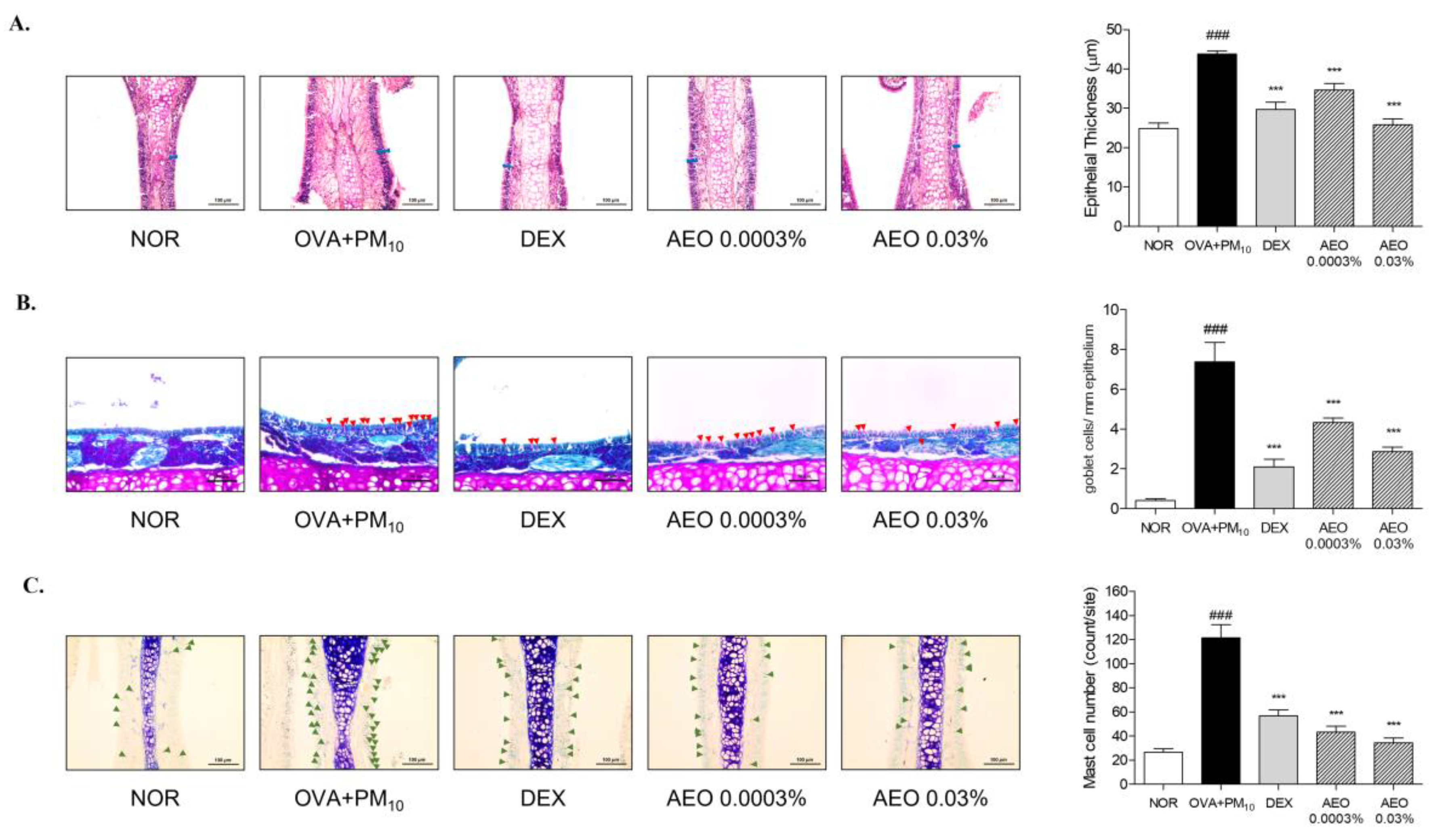 Pharmaceutics 15 01195 g002