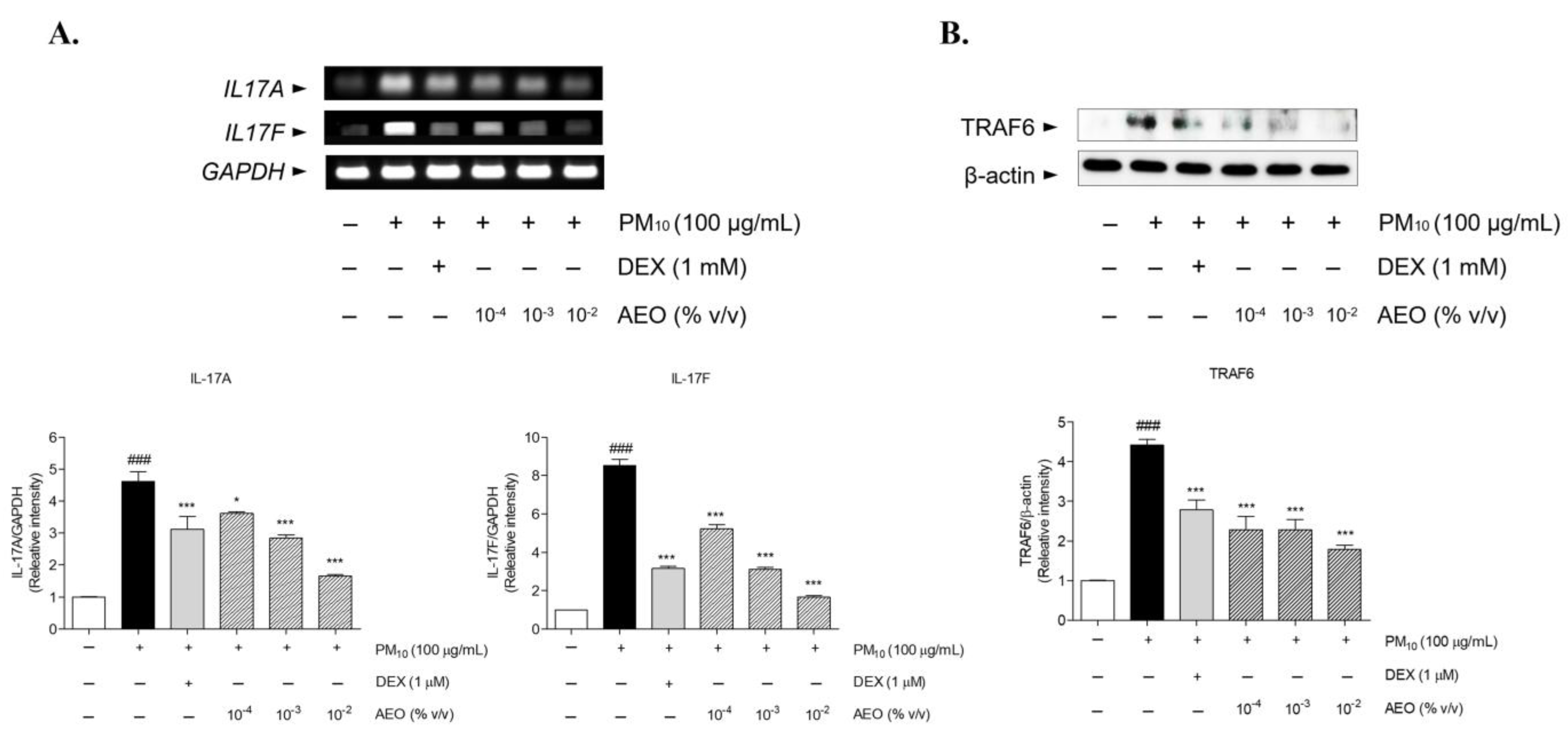 Pharmaceutics 15 01195 g006