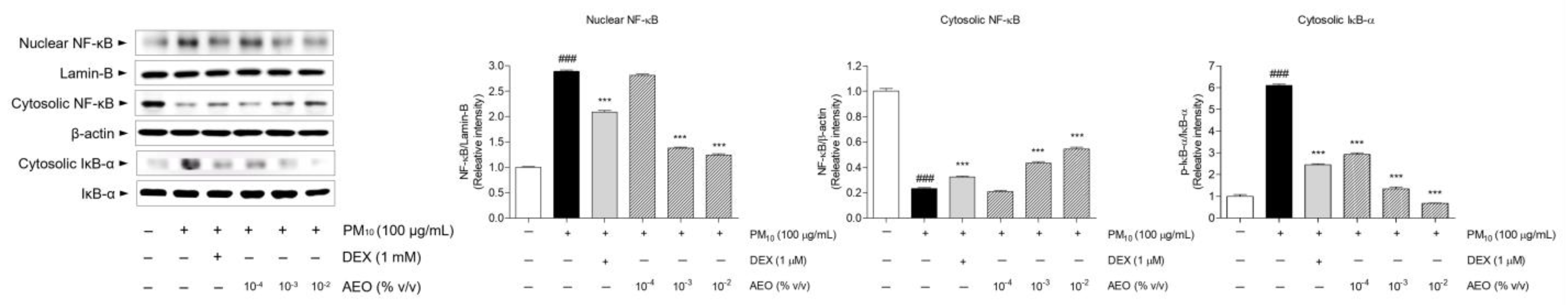 Pharmaceutics 15 01195 g008
