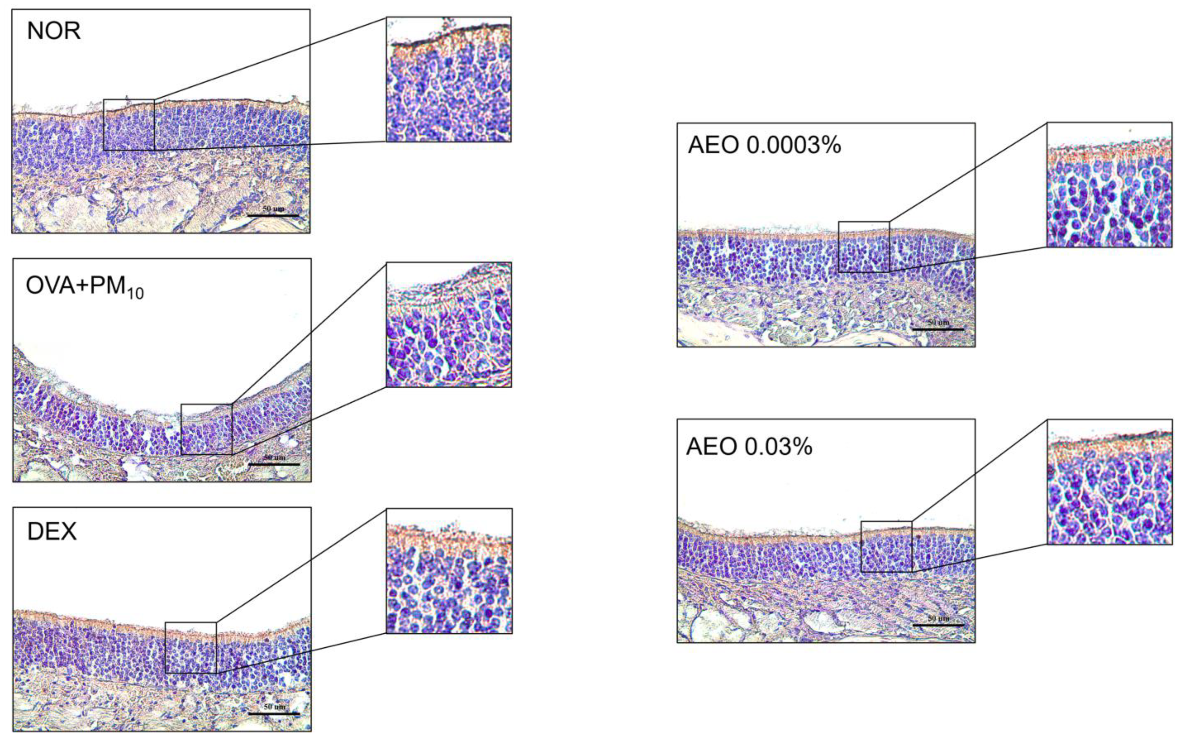 Pharmaceutics 15 01195 g009