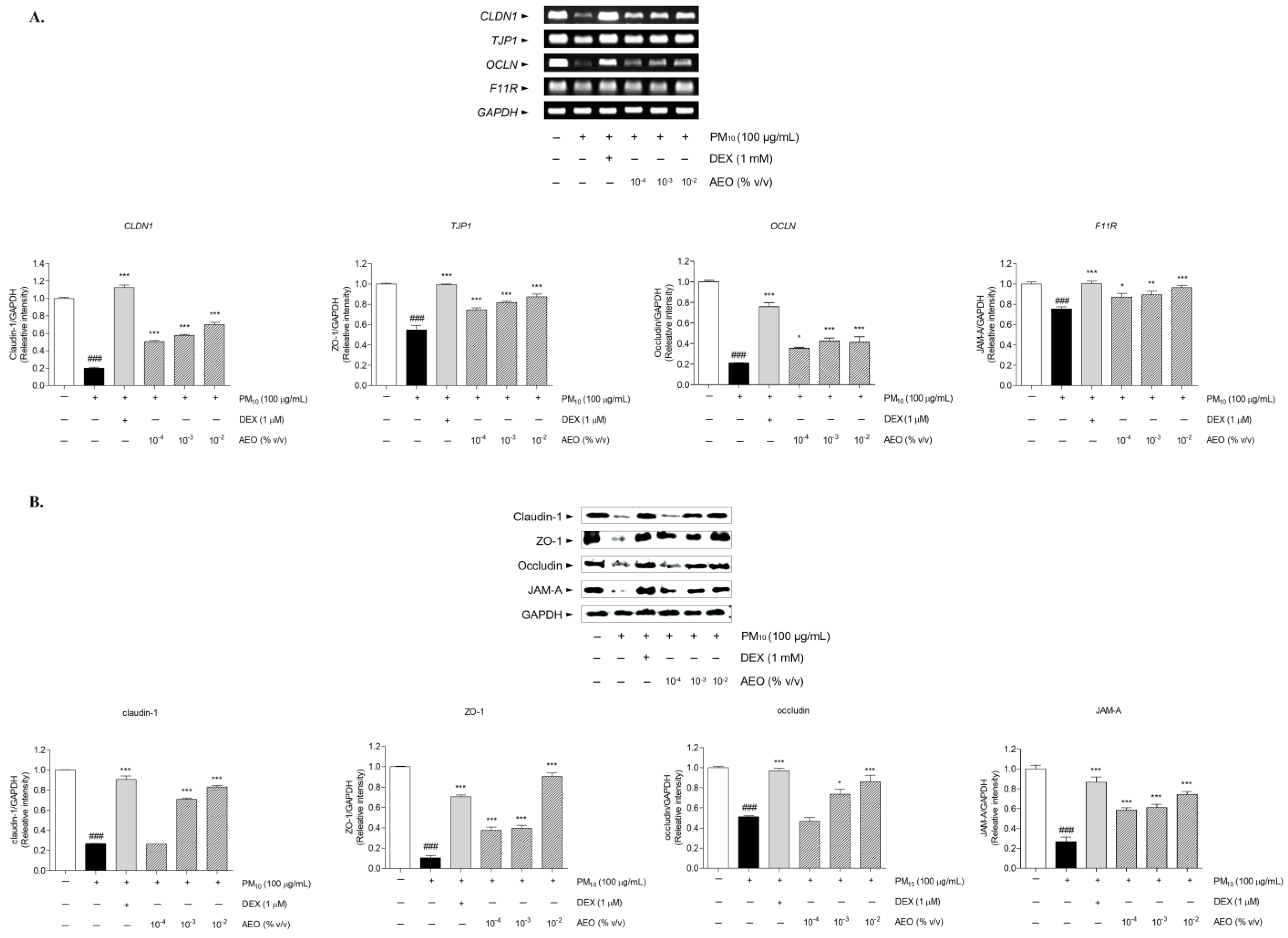 Pharmaceutics 15 01195 g010