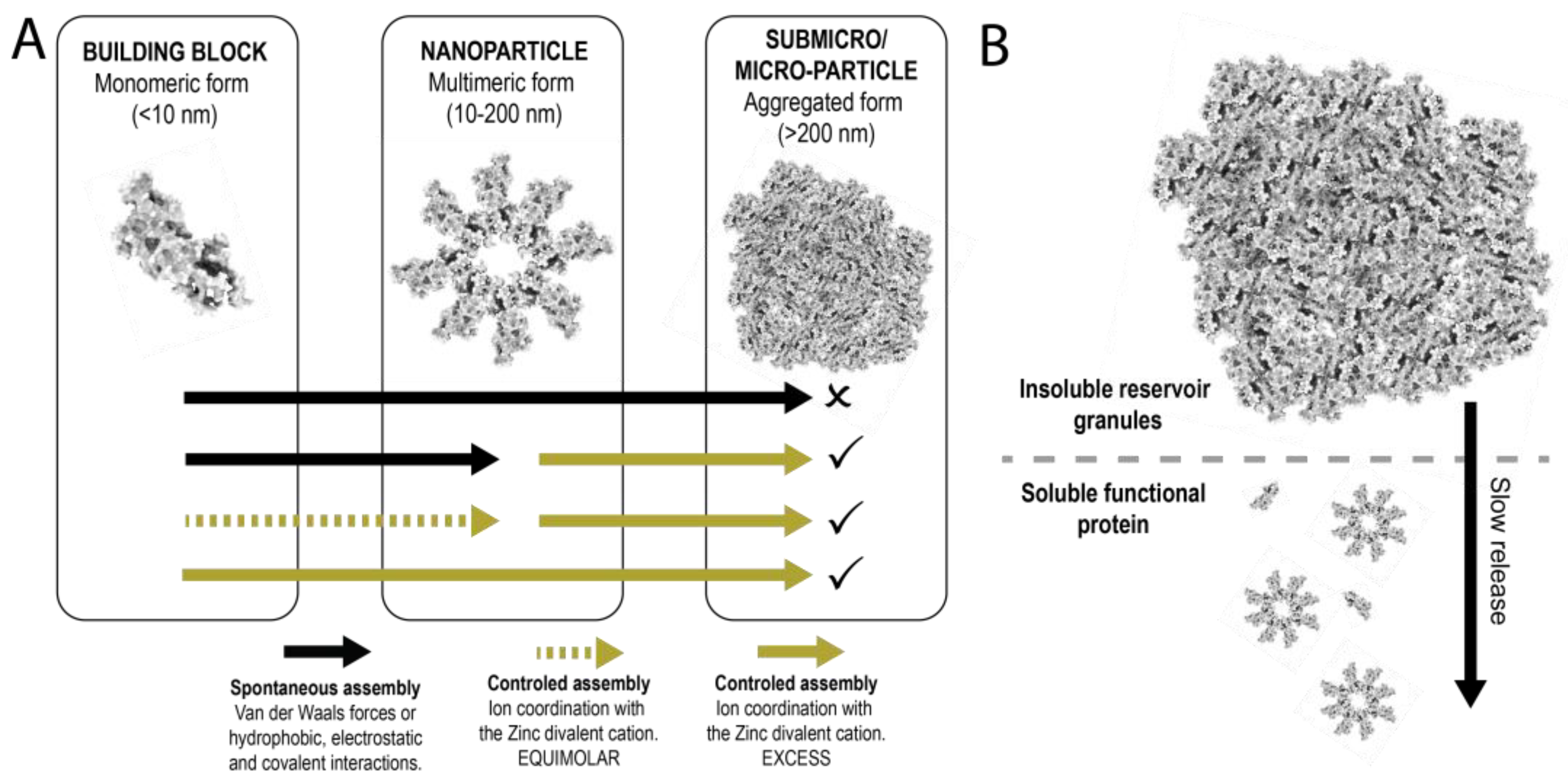 Pharmaceutics 15 01197 g001