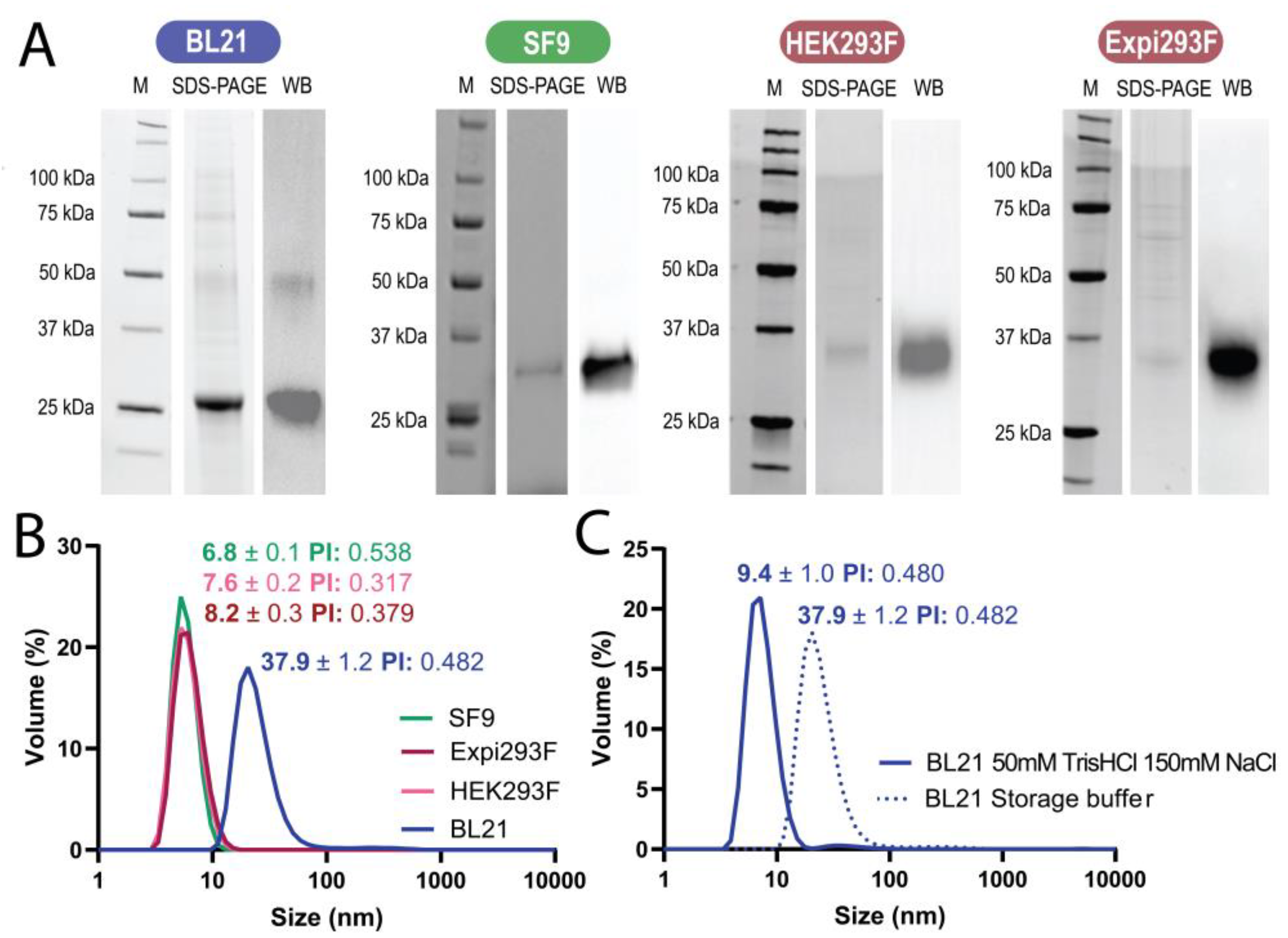 Pharmaceutics 15 01197 g003