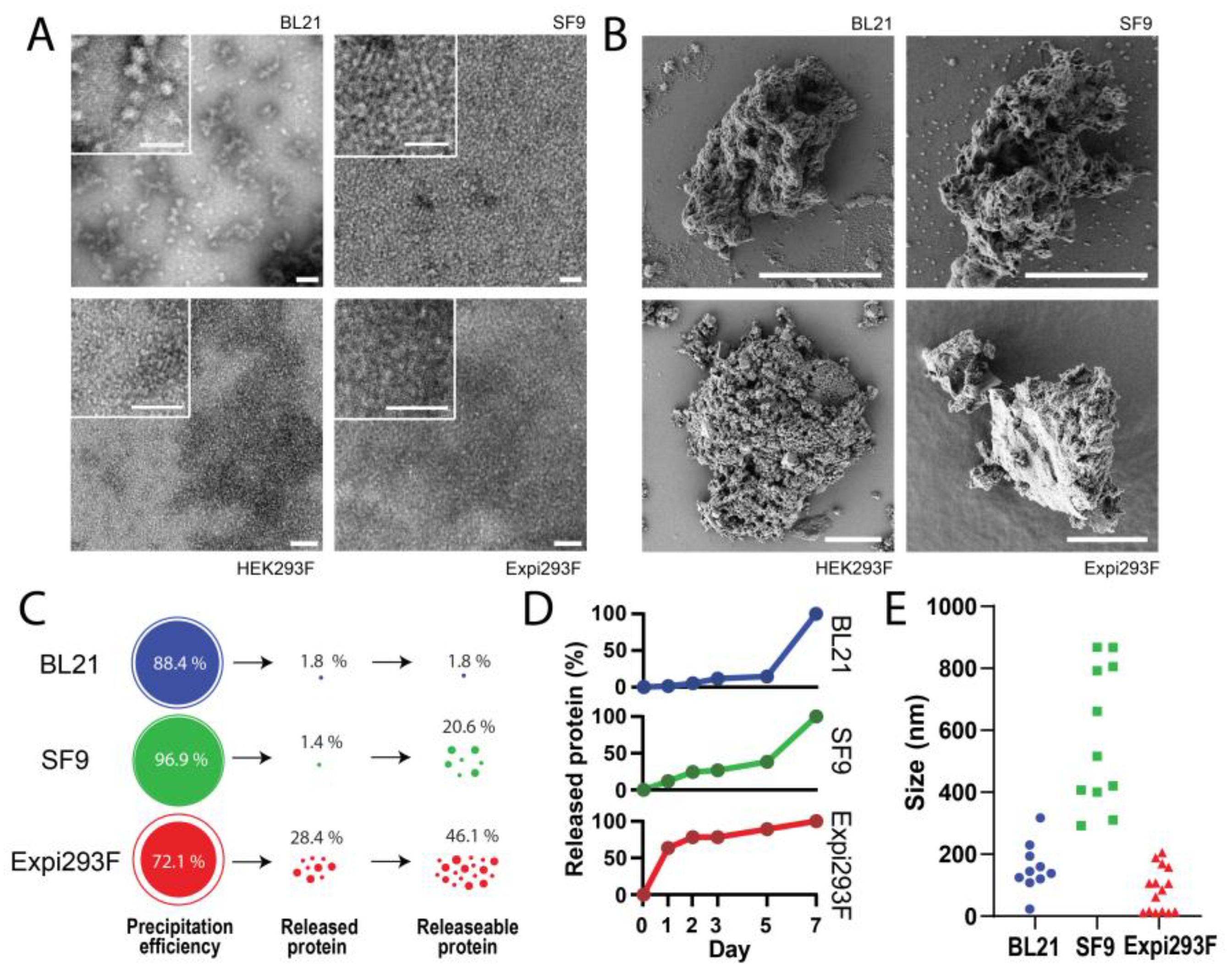 Pharmaceutics 15 01197 g004