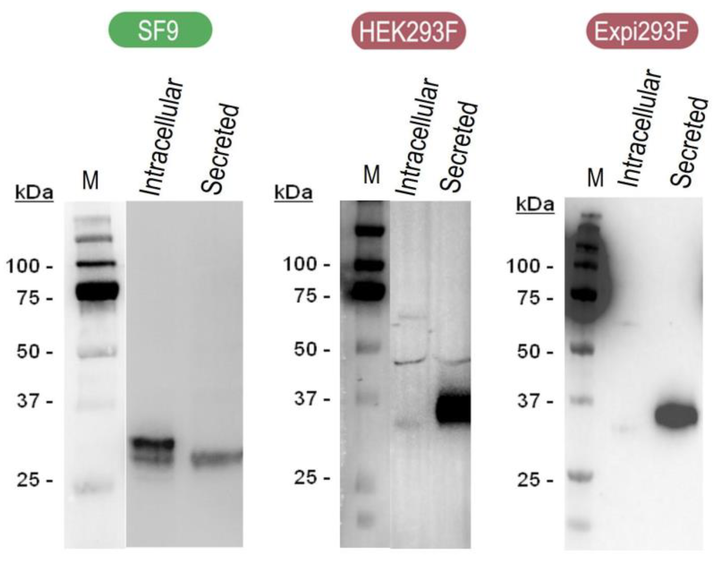 Pharmaceutics 15 01197 g0a1