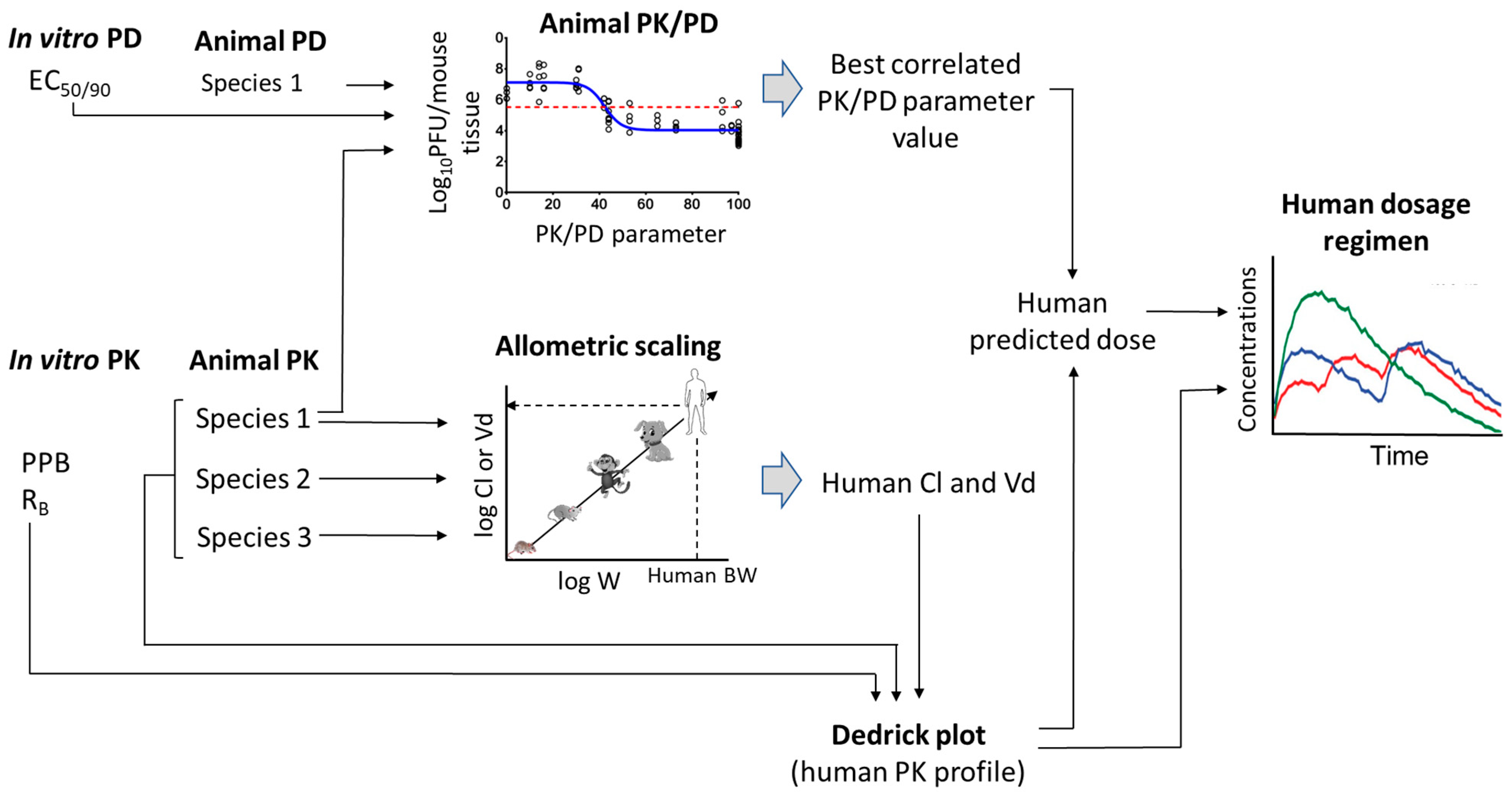 Pharmaceutics 15 01212 g001